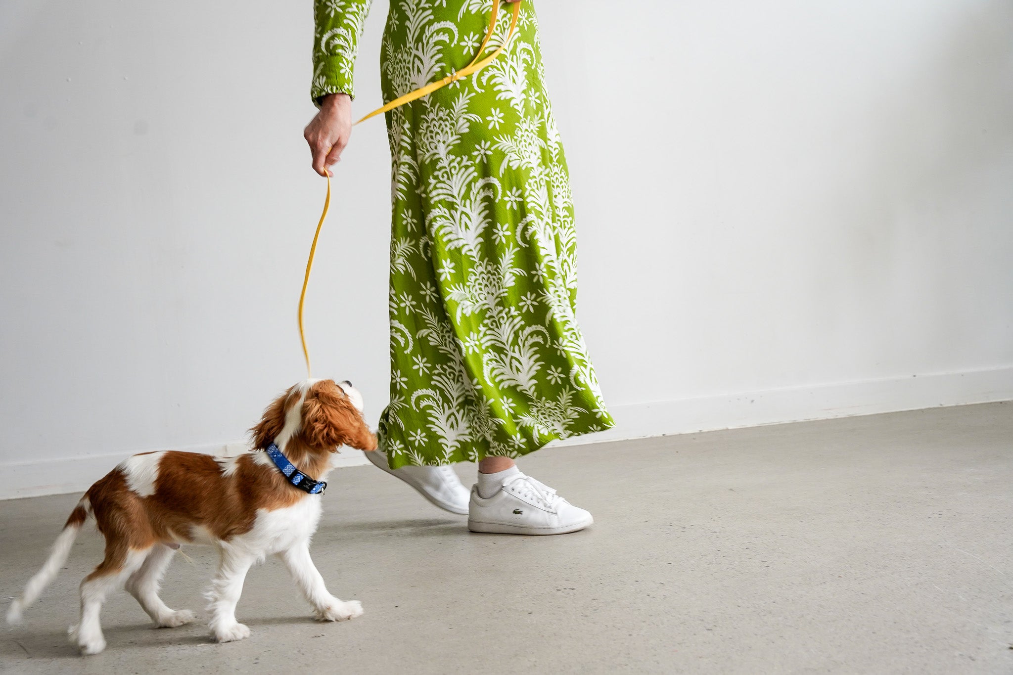 DOG LEASH TRAINING PUPPY YELLOW PVC