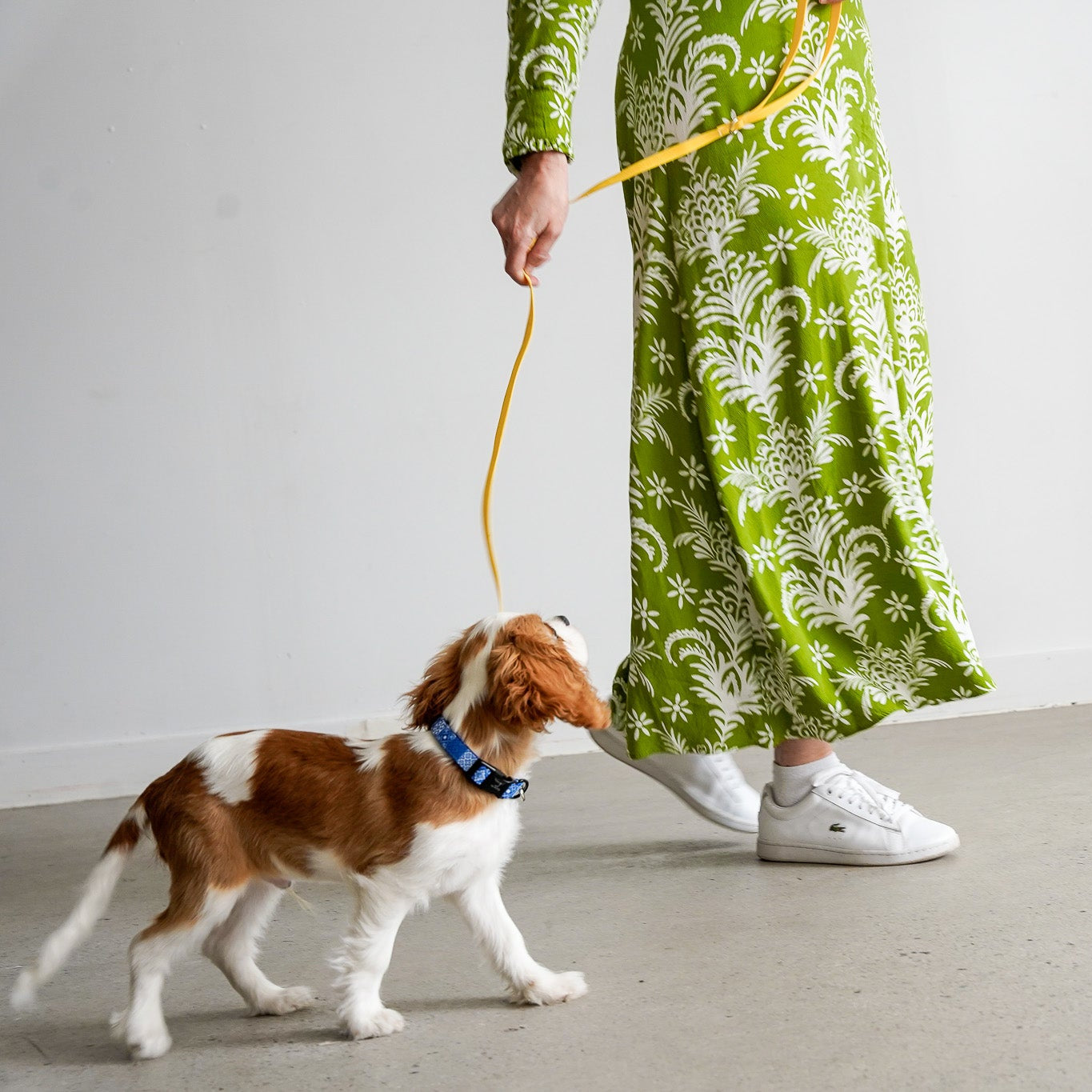 DOG LEASH TRAINING PUPPY YELLOW PVC