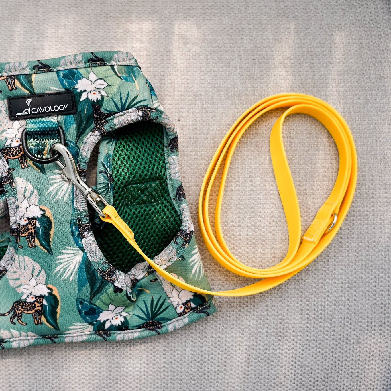 DOG LEASH TRAINING PUPPY YELLOW PVC