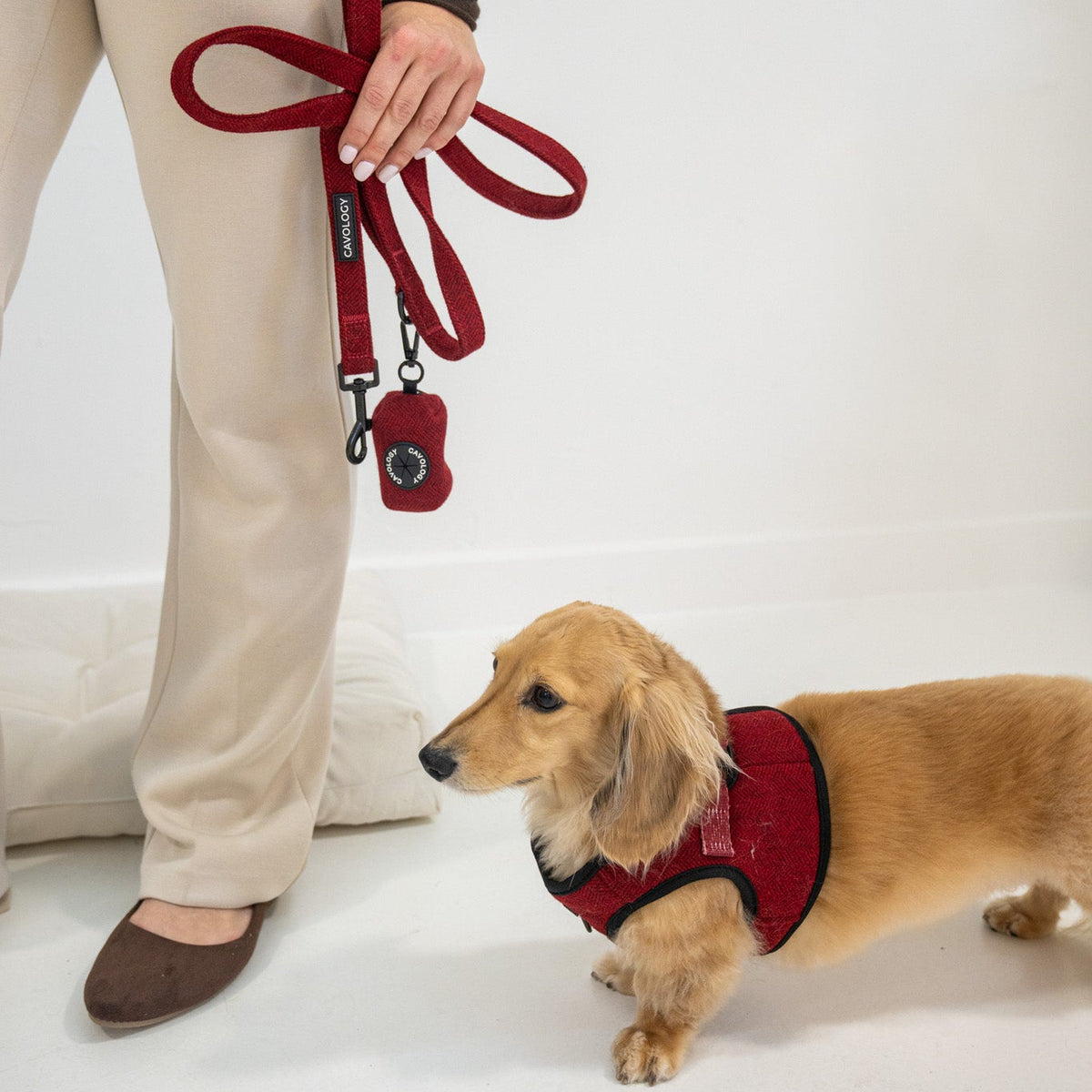 Cranberry Herringbone Dog Walking Bundle