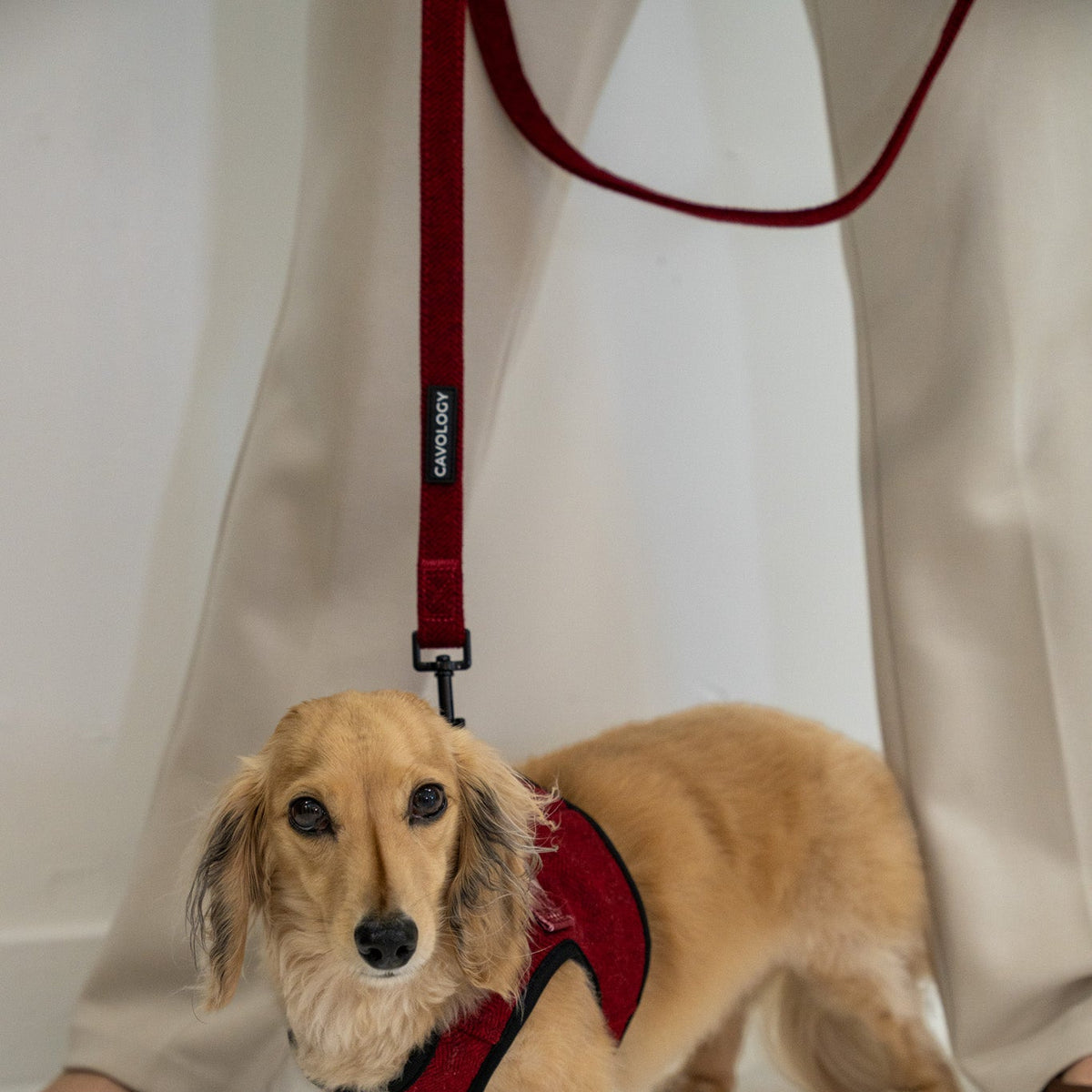 Cranberry Herringbone Dog Leash