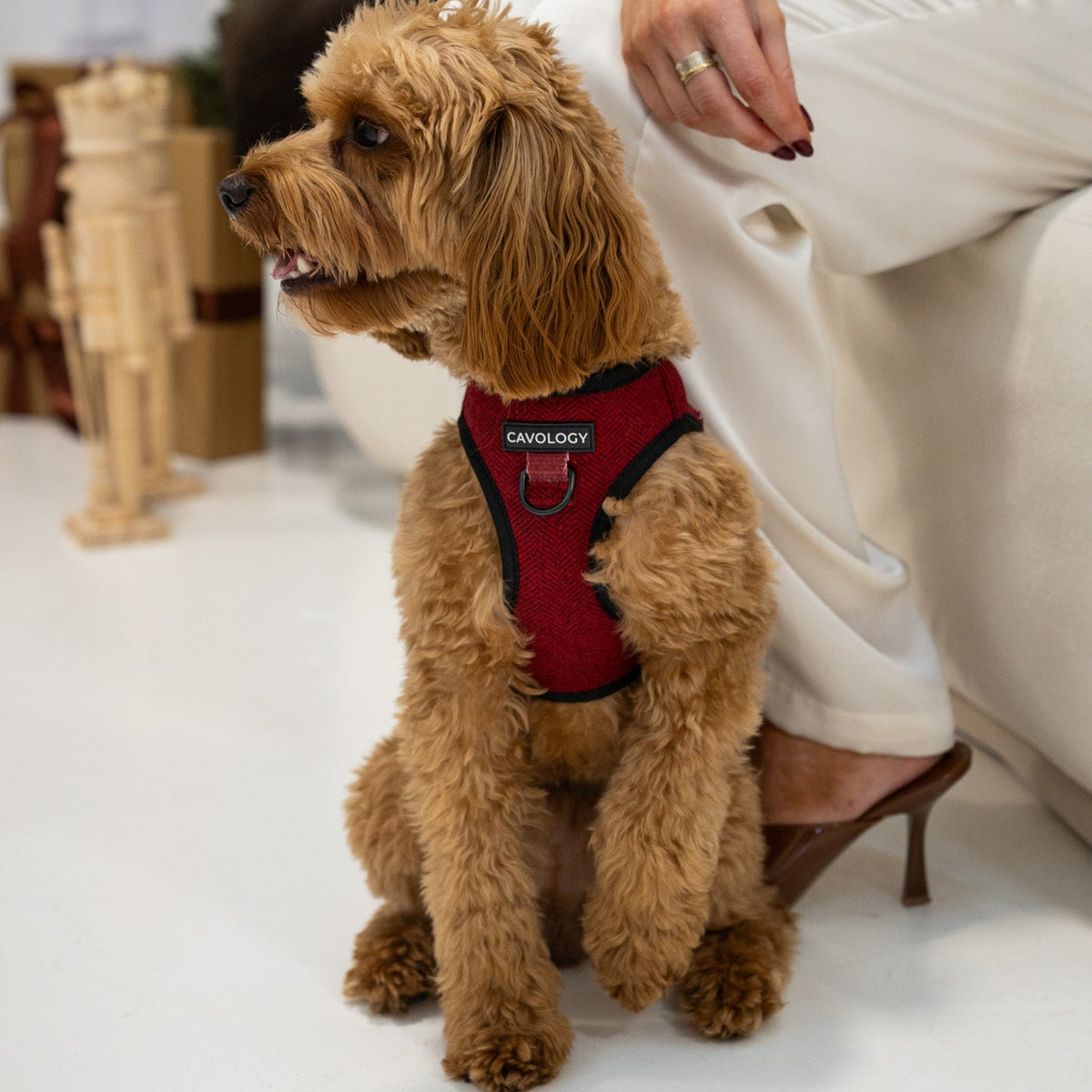Cranberry Herringbone Vest Step In Dog Harness