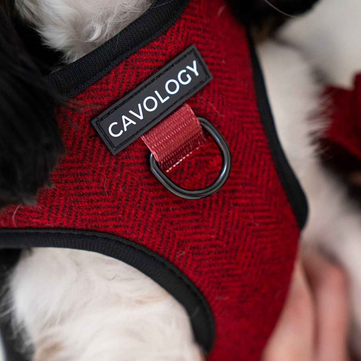 Cranberry Herringbone Dog Walking Bundle