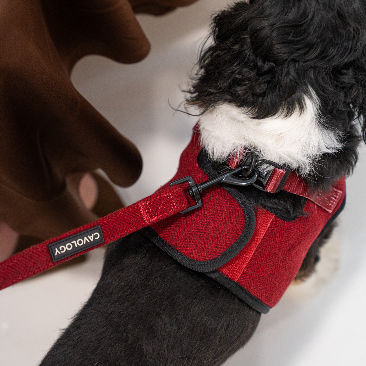 Cranberry Herringbone Vest Step In Dog Harness