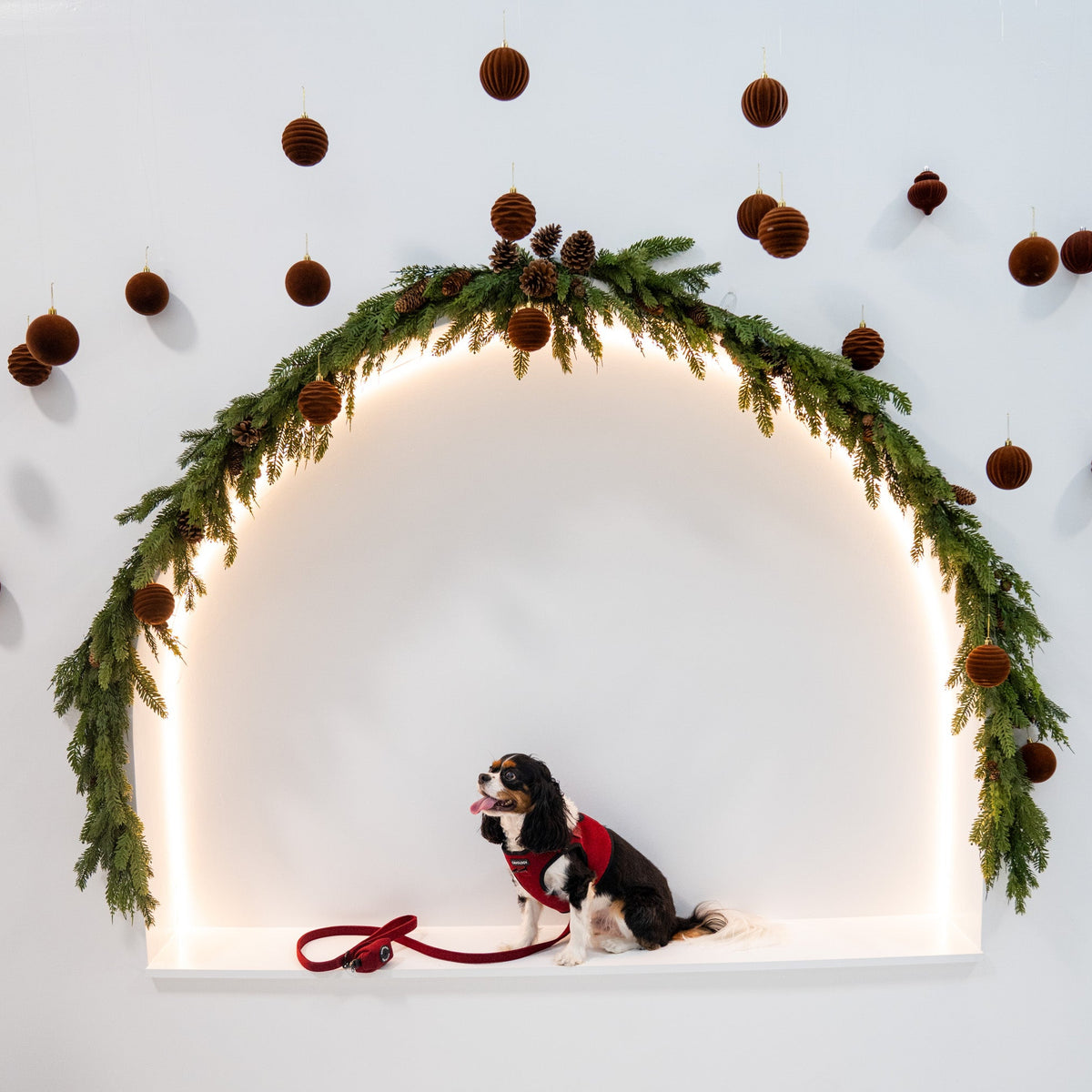 Cranberry Herringbone Dog Leash