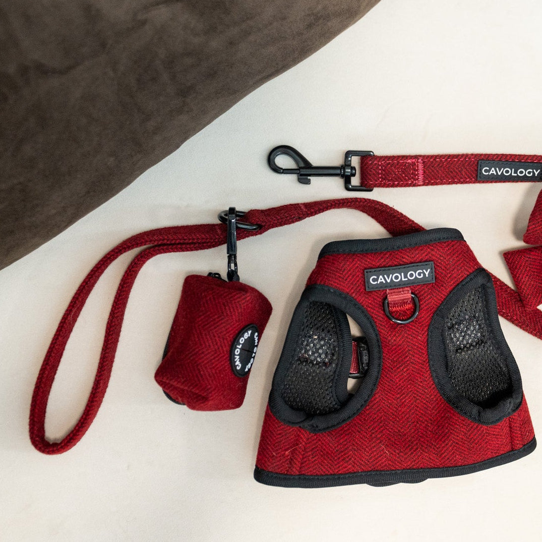 Cranberry Herringbone Dog Walking Bundle