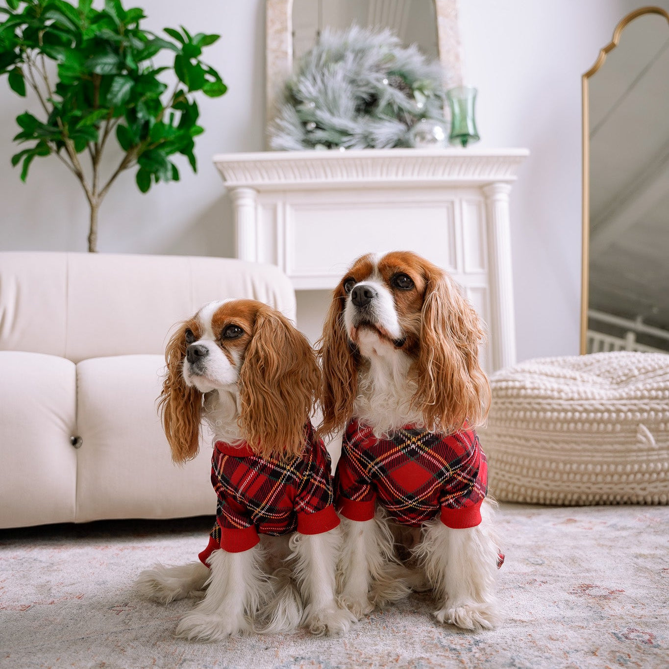 DOG PYJAMAS - Red Plaid Tartan Winter Wonderland