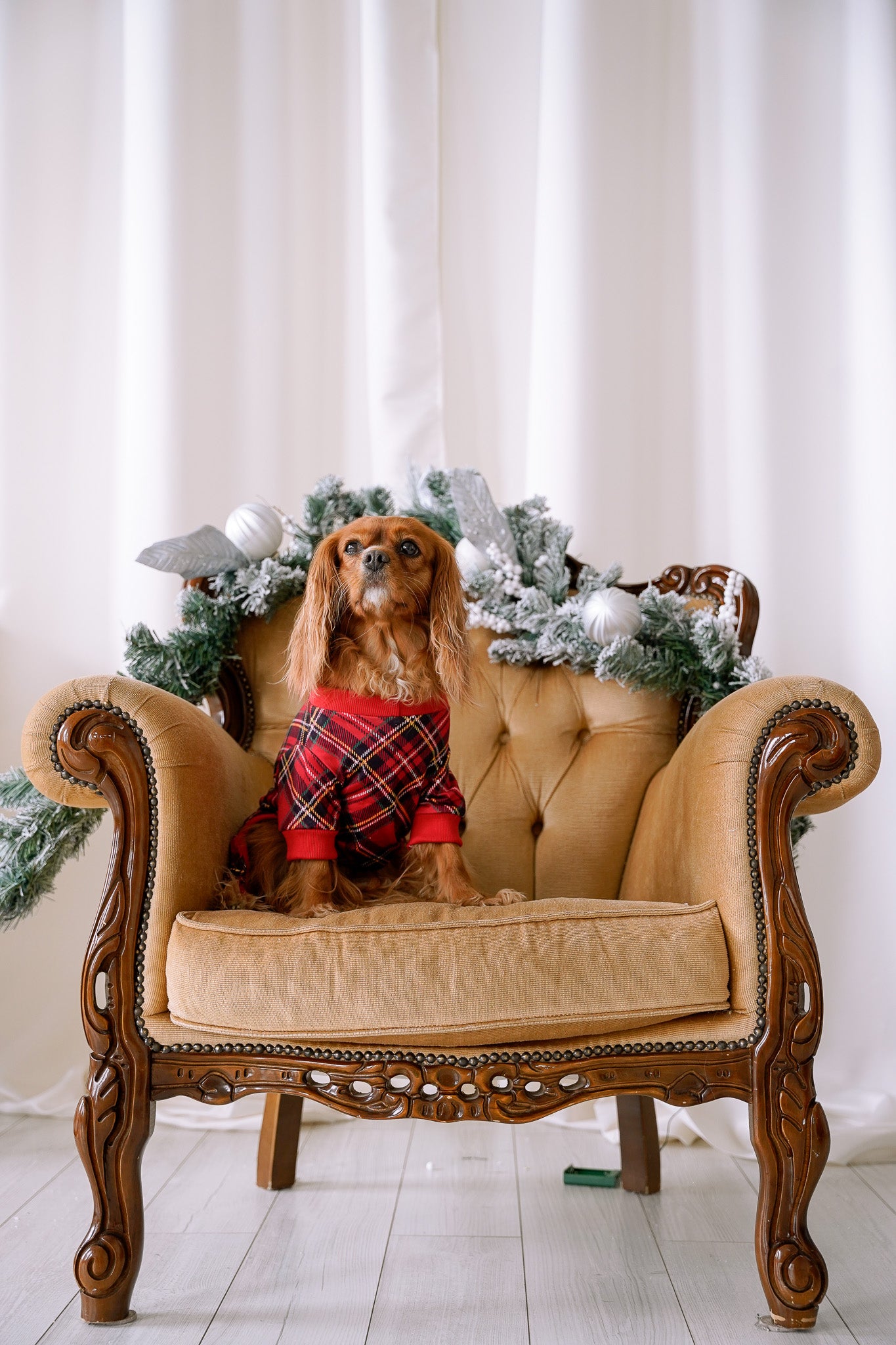 DOG PYJAMAS - Red Plaid Tartan Winter Wonderland