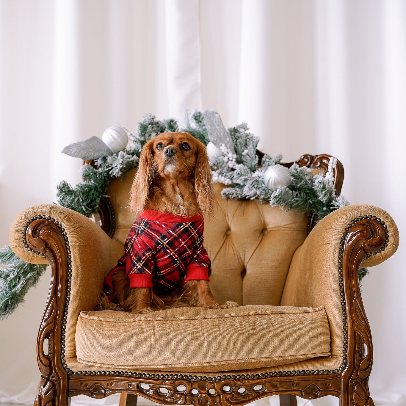 DOG PYJAMAS - Red Plaid Tartan Winter Wonderland