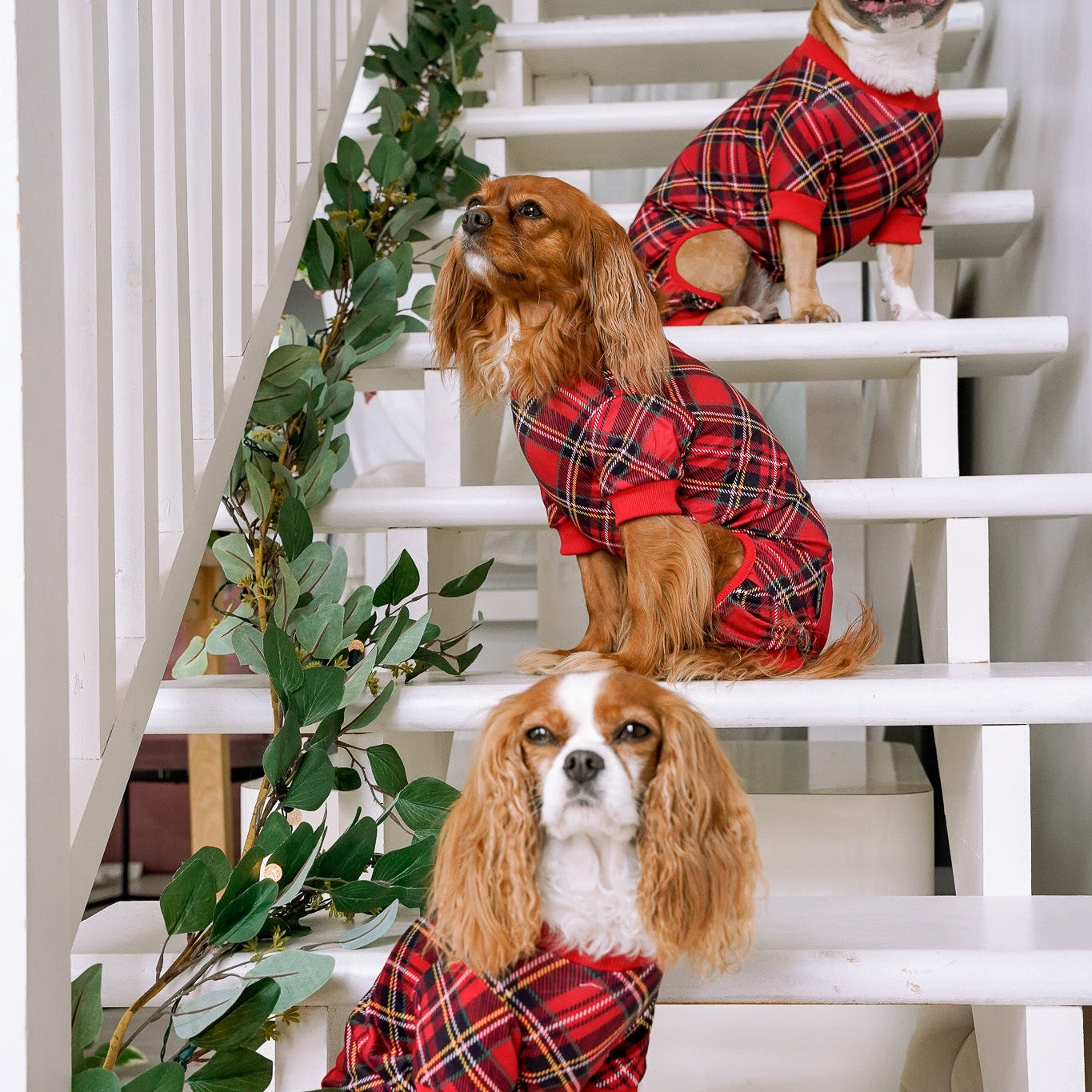 DOG PYJAMAS - Red Plaid Tartan Winter Wonderland