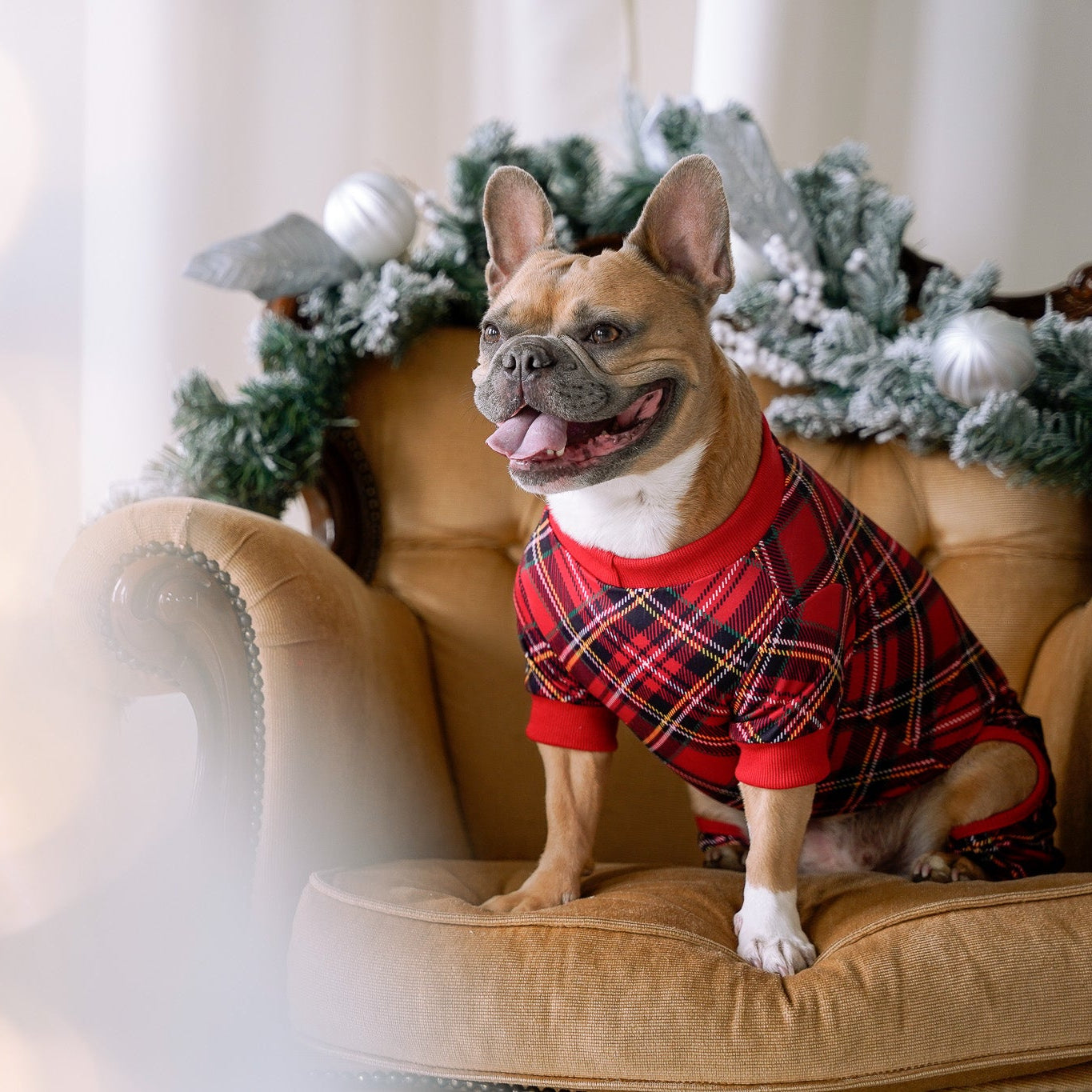 DOG PYJAMAS - Red Plaid Tartan Winter Wonderland