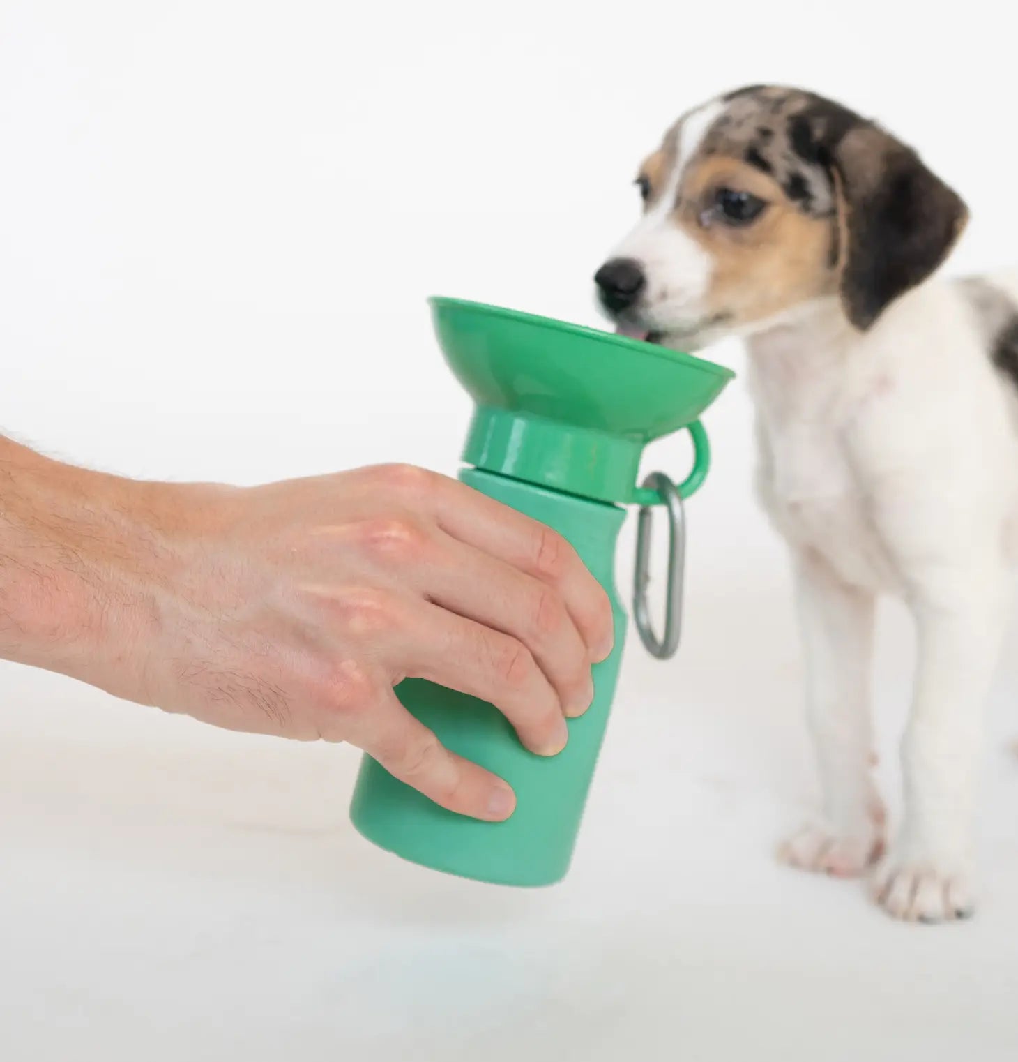 SPRINGER WATER BOTTLE MINI 15OZ