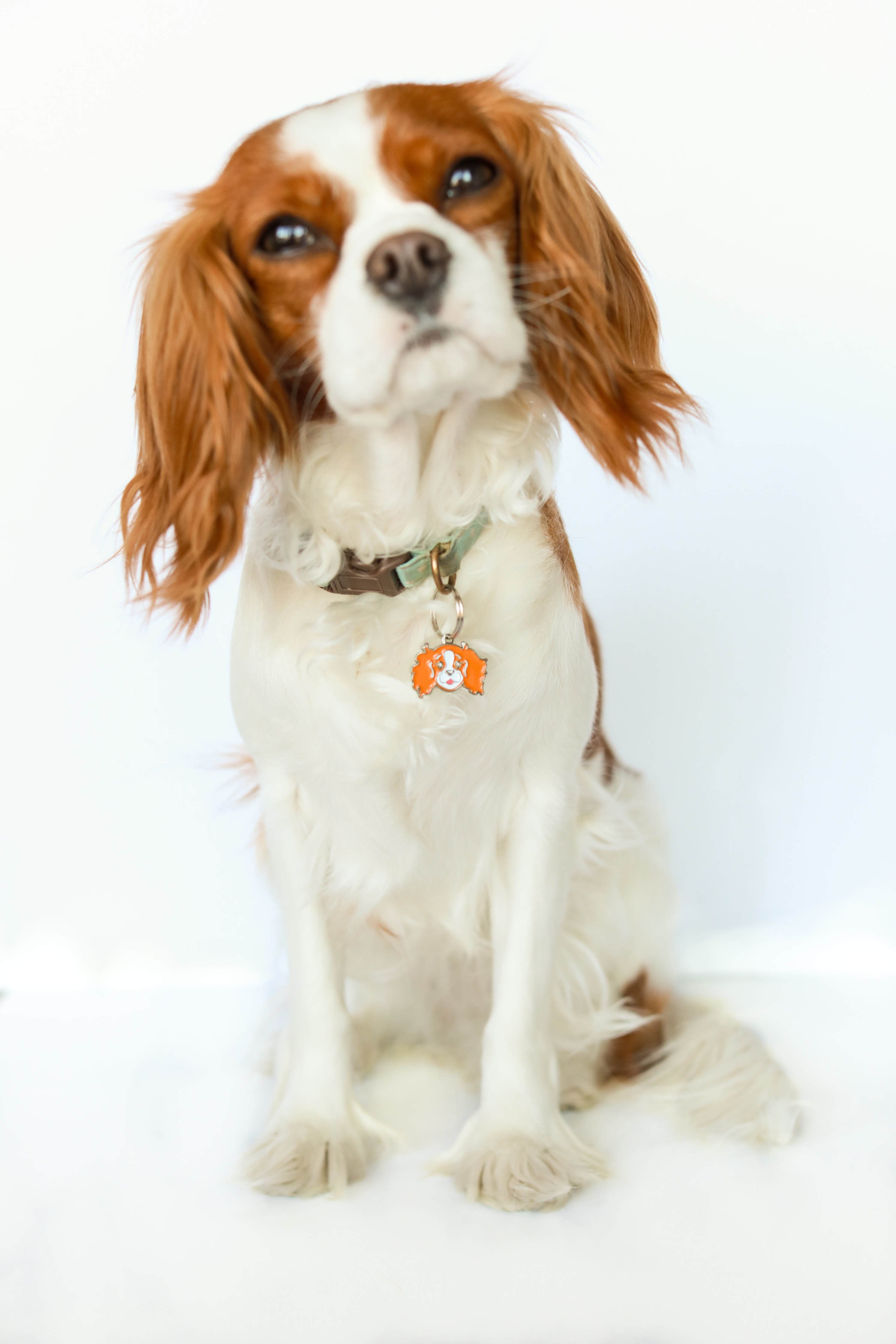 Cavalier King Charles face charm | RUBY
