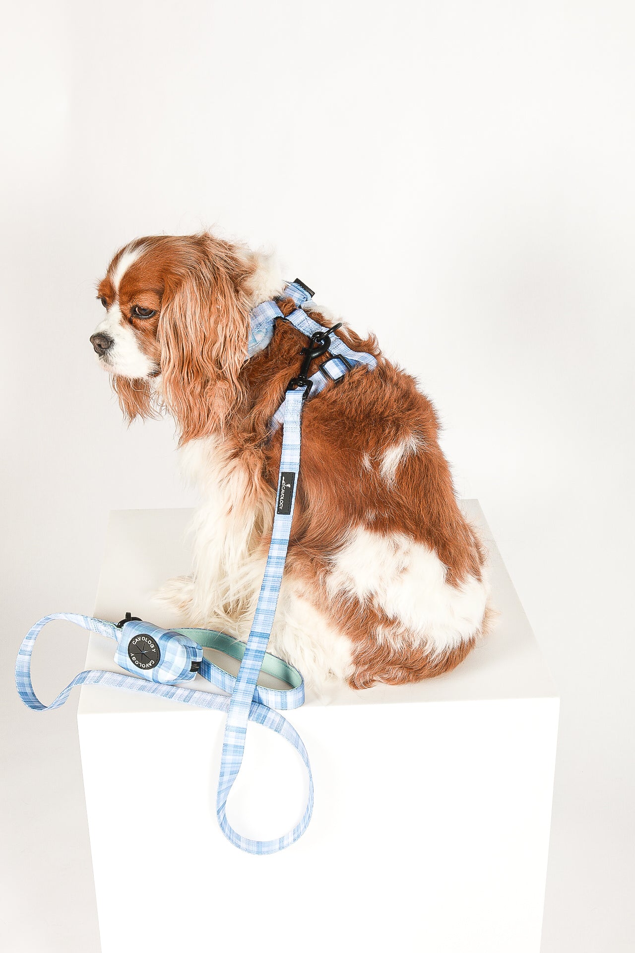 LEASH - BLUE PLAID In The Clouds