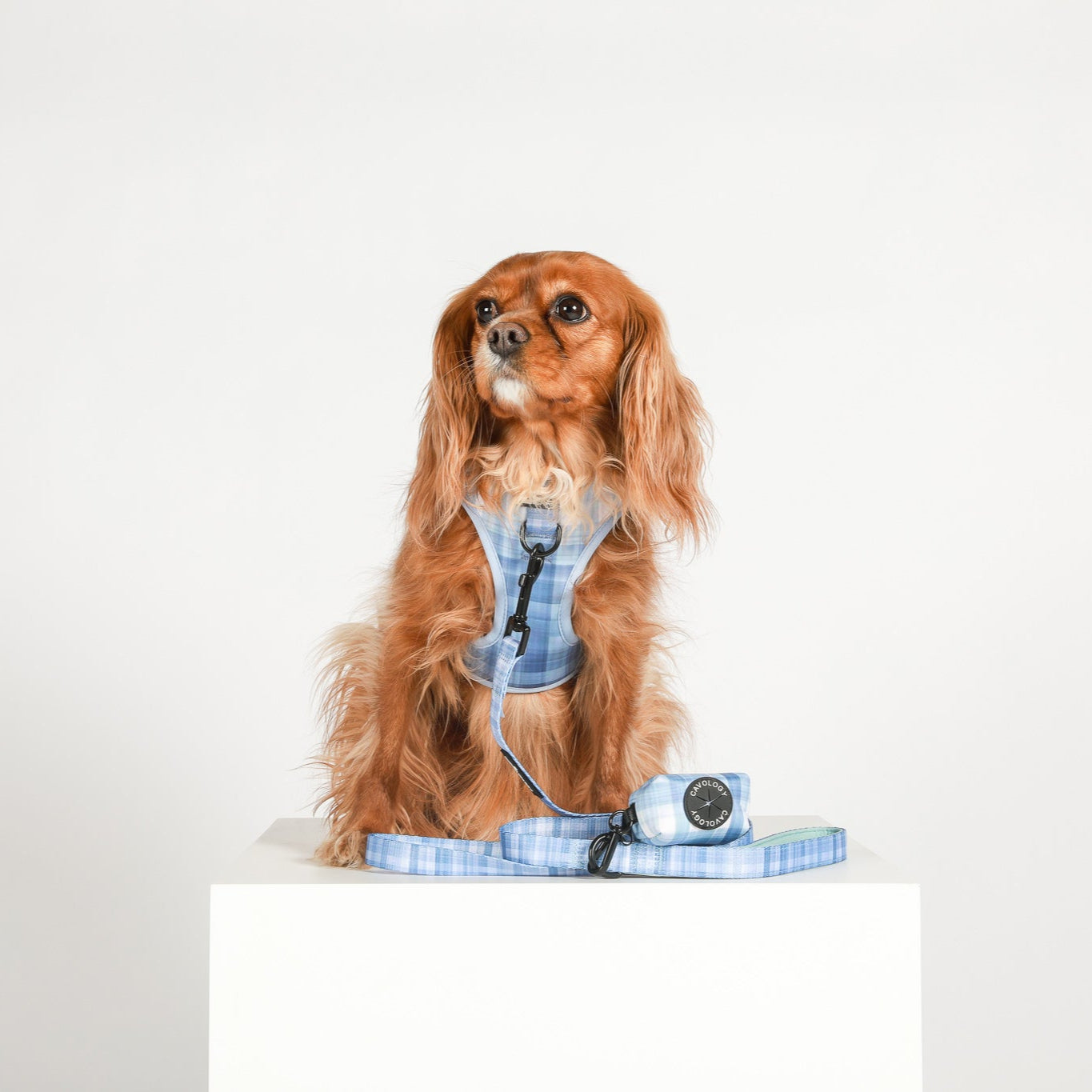 ADJUSTABLE HARNESS - BLUE PLAID In The Clouds