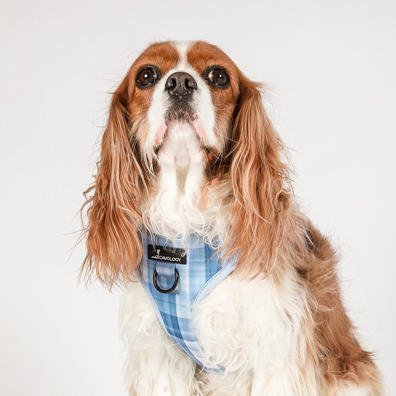 ADJUSTABLE HARNESS - BLUE PLAID In The Clouds
