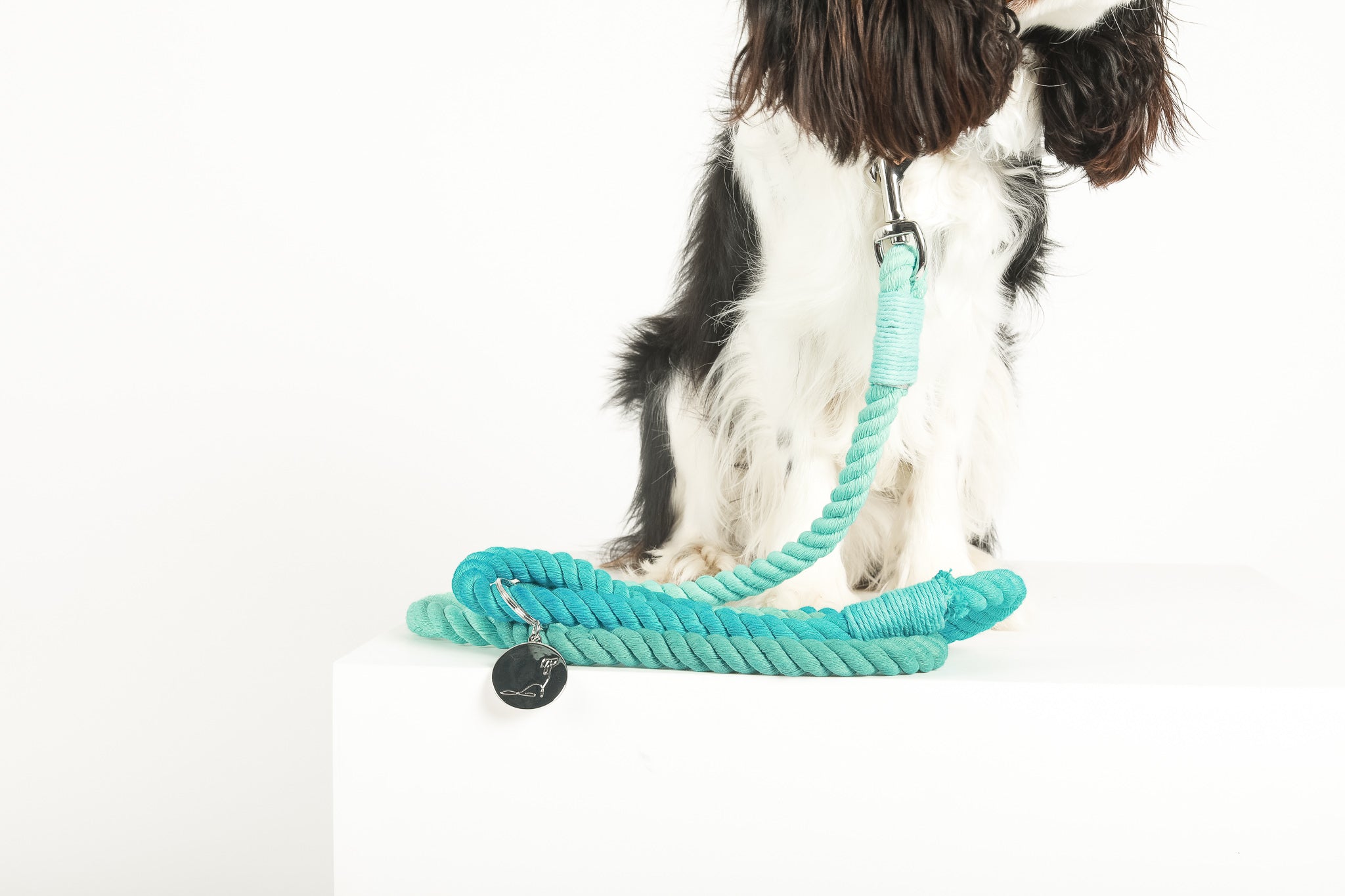 ROPE LEASH - Ocean Views