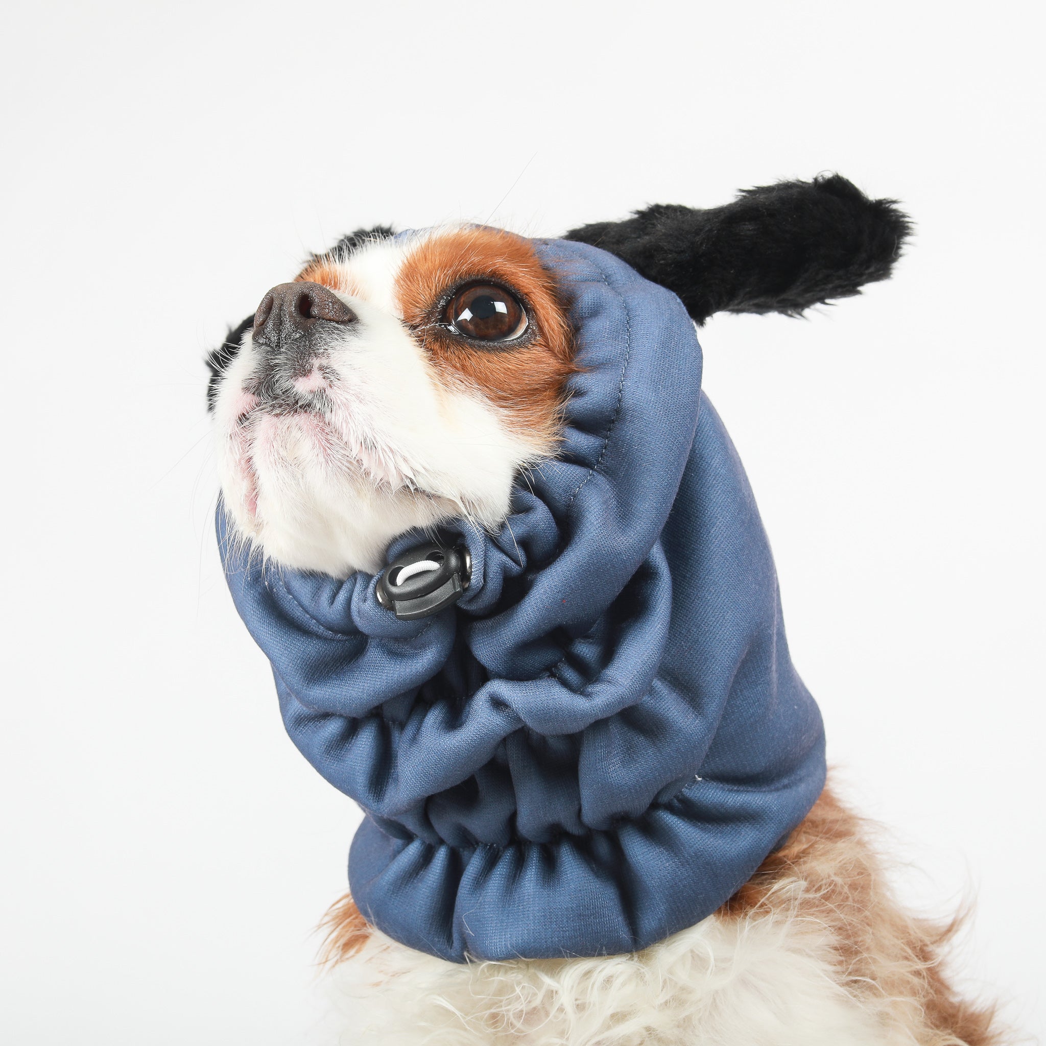 SNOOD - Blue Steel