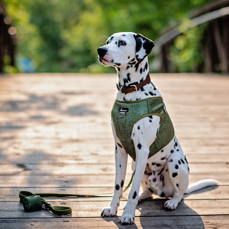 VEST STEP IN HARNESS - MATCHA