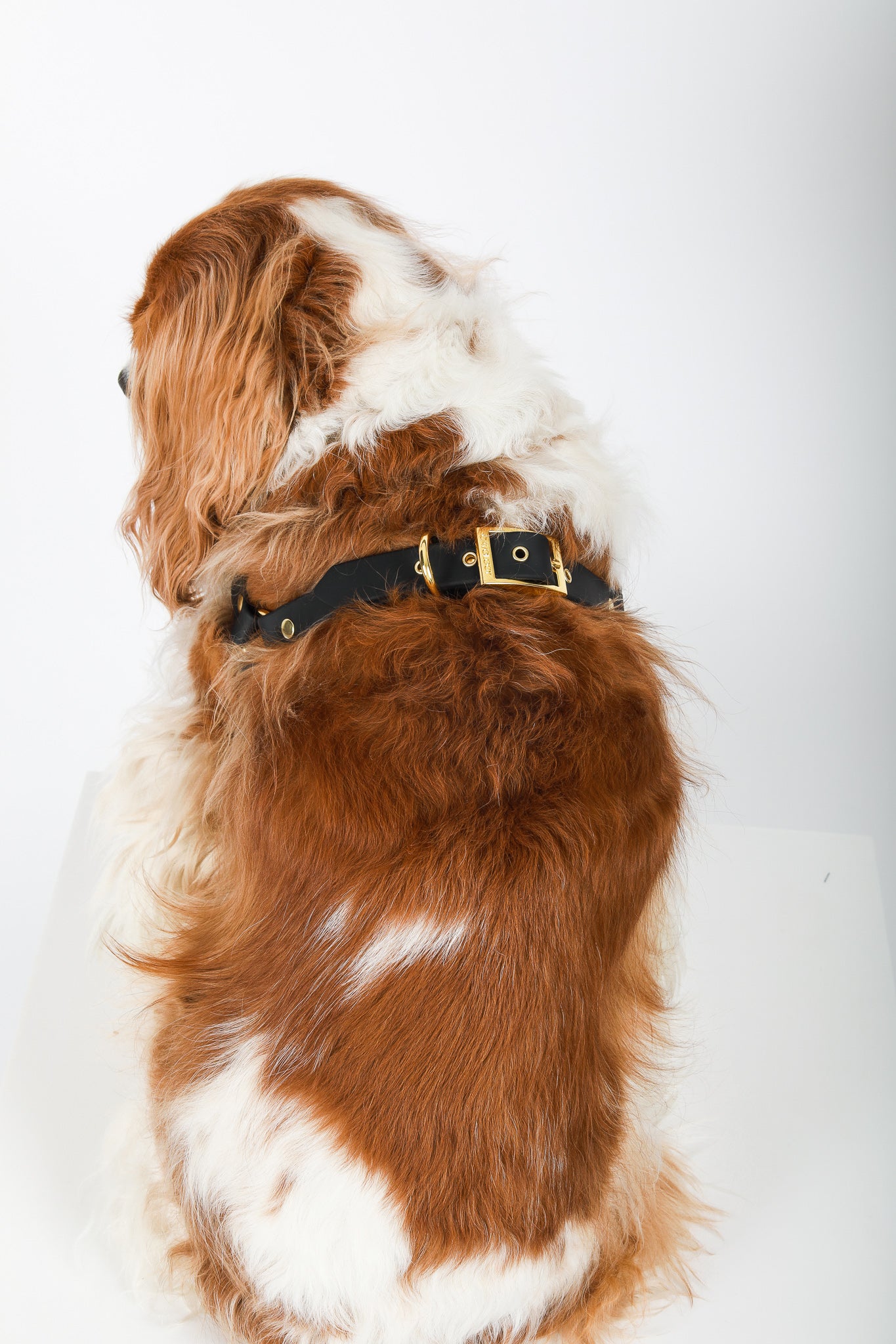 STEP IN LUXE HARNESS - Park Avenue II