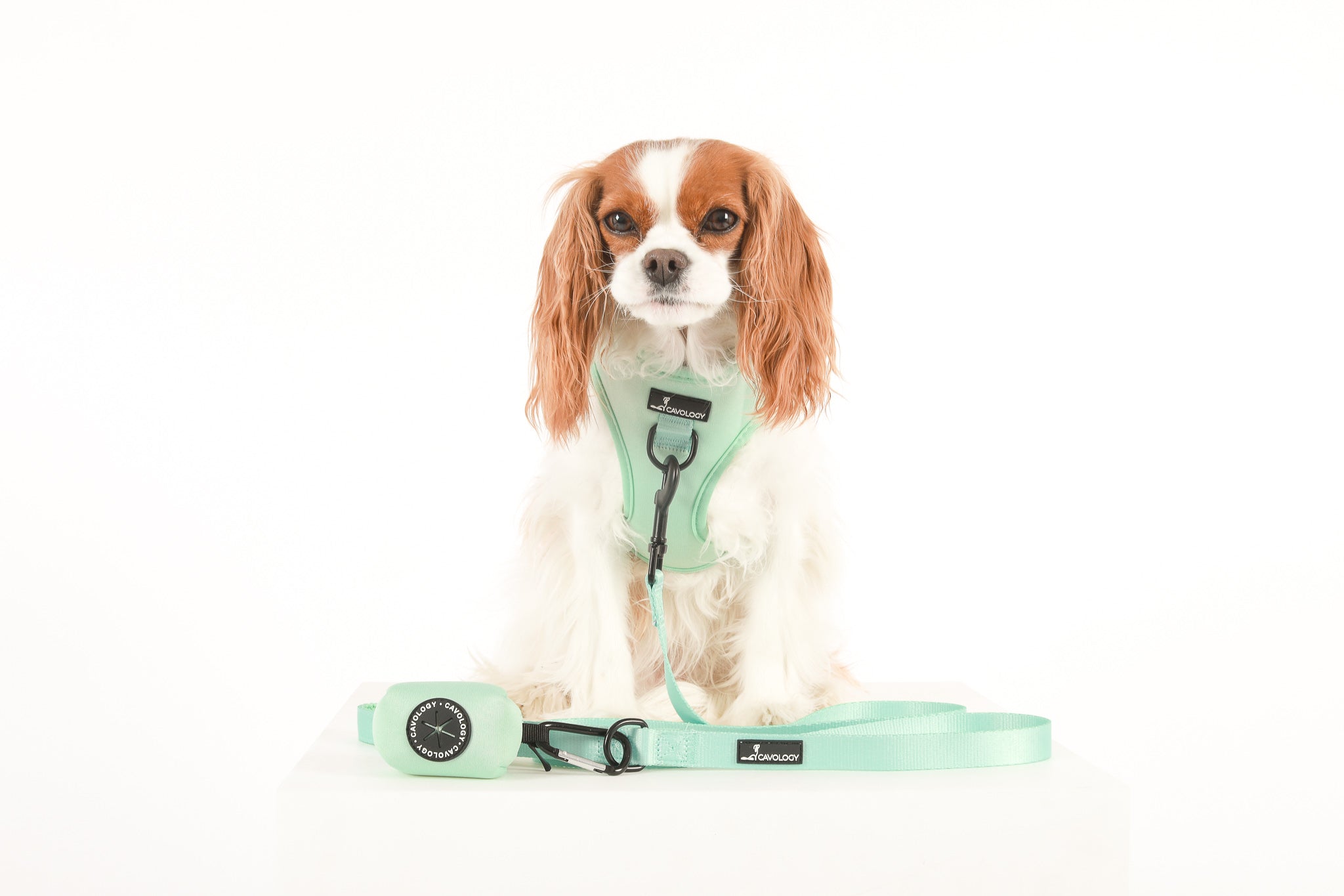 ADJUSTABLE HARNESS - Mint Julep