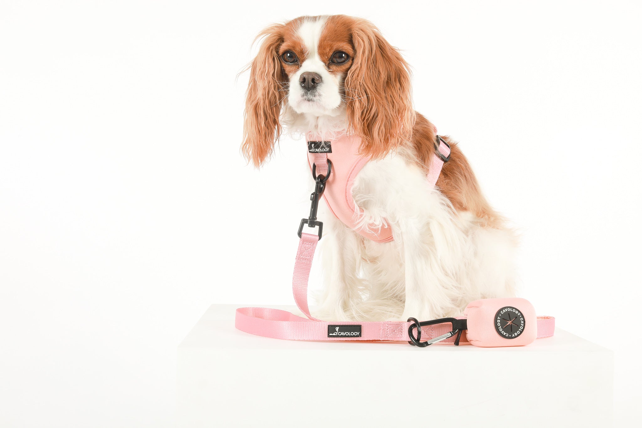 ADJUSTABLE HARNESS - Peach Bellini