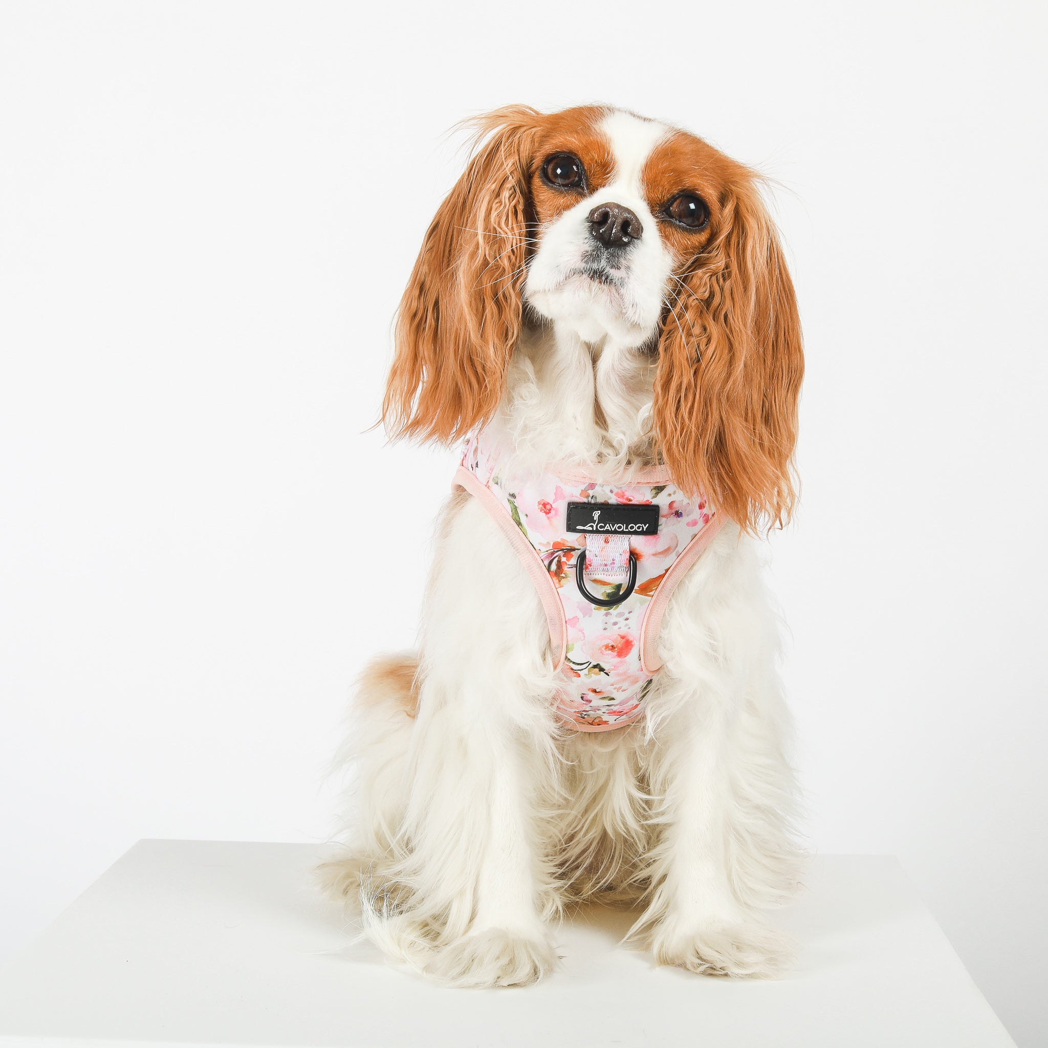 VEST STEP IN HARNESS - Pink Florals Kyoto