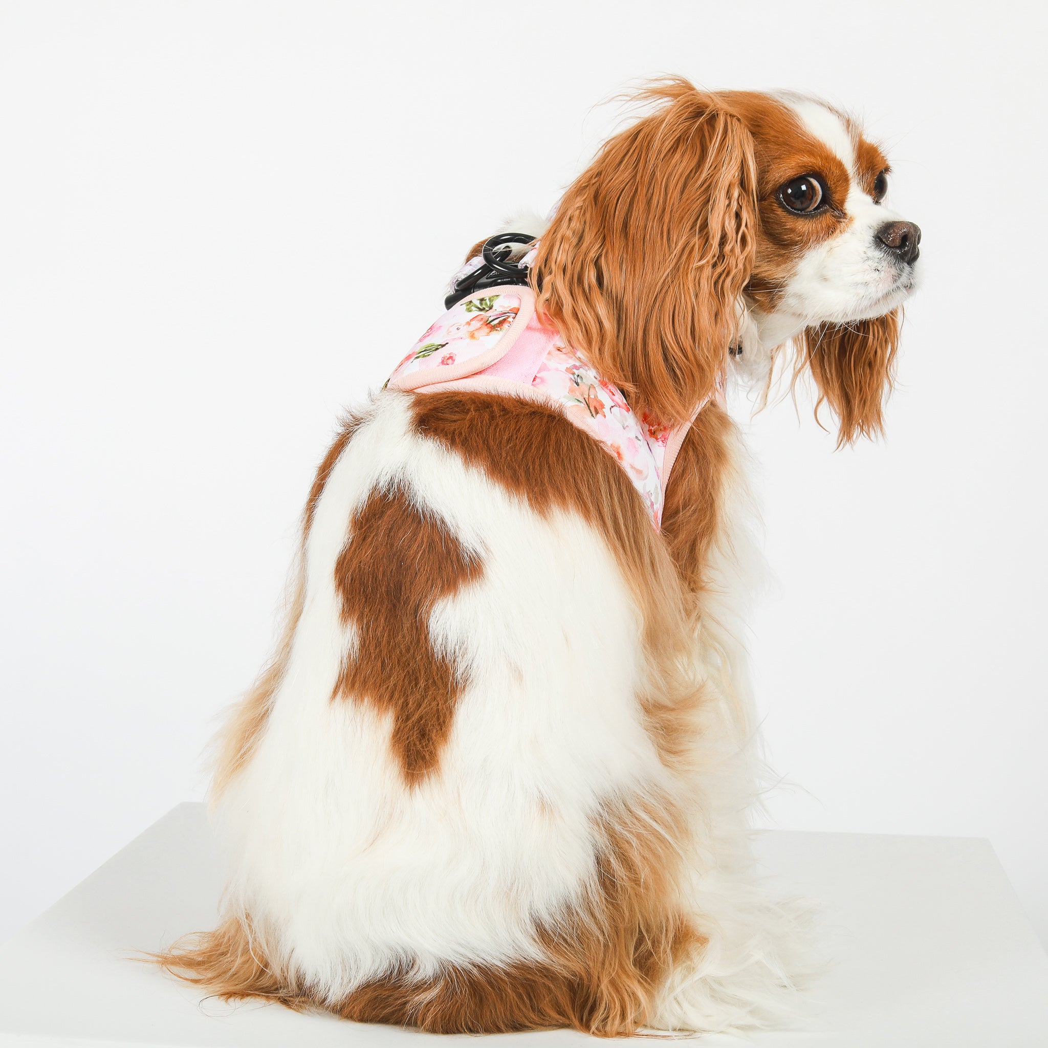 VEST STEP IN HARNESS - Pink Florals Kyoto