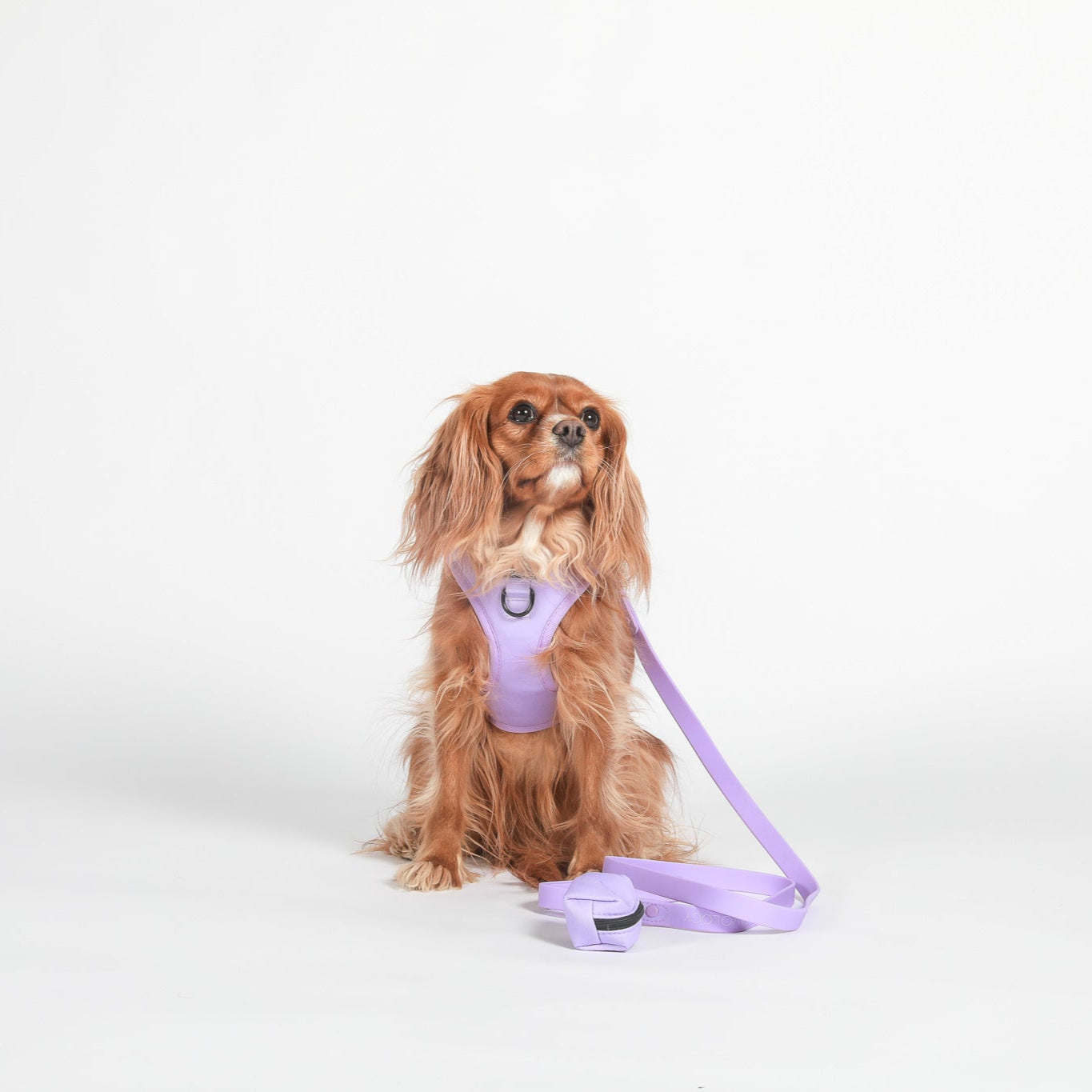 ADJUSTABLE HARNESS - Aspen Lavender