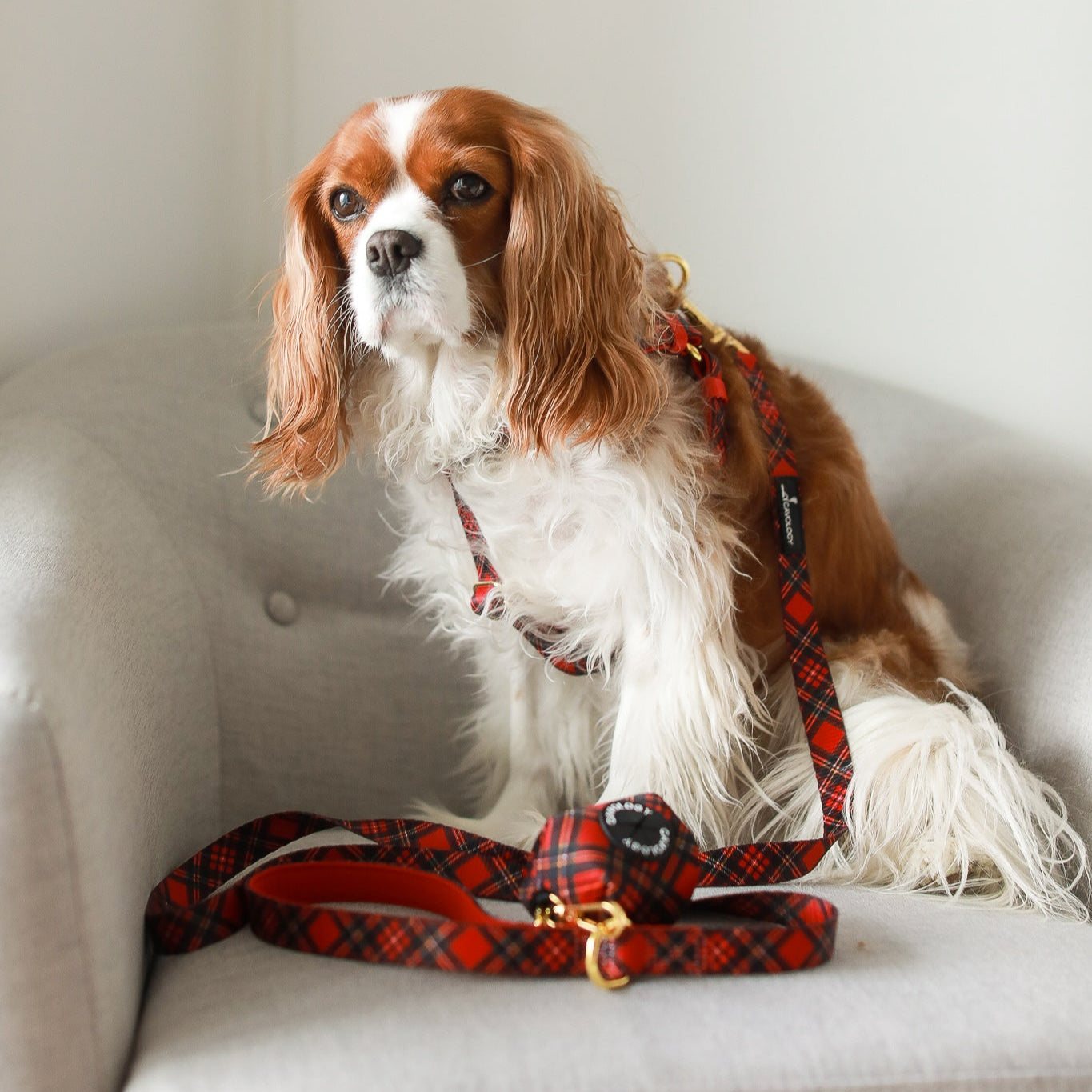 WASTE BAG DISPENSER - Red Tartan Plaid Winter Wonderland
