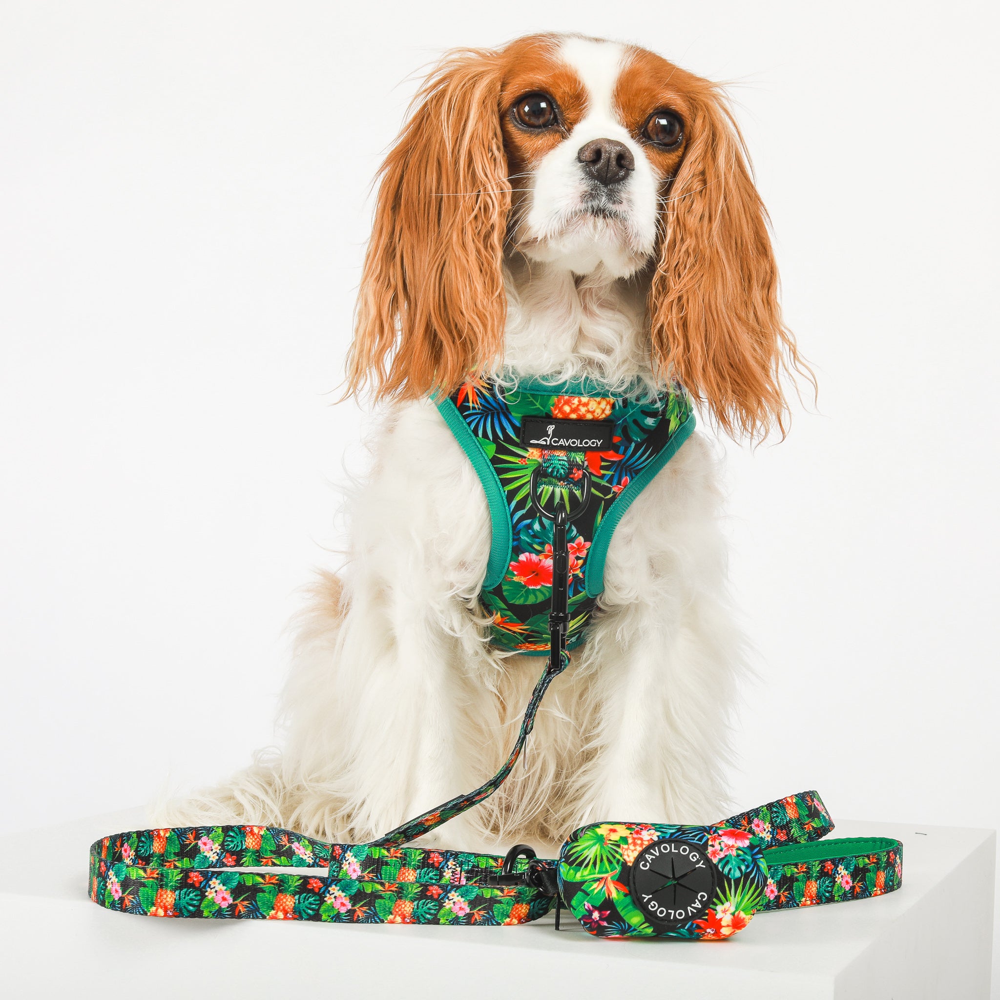 DOG HARNESS BUNDLE - Tropical Rio