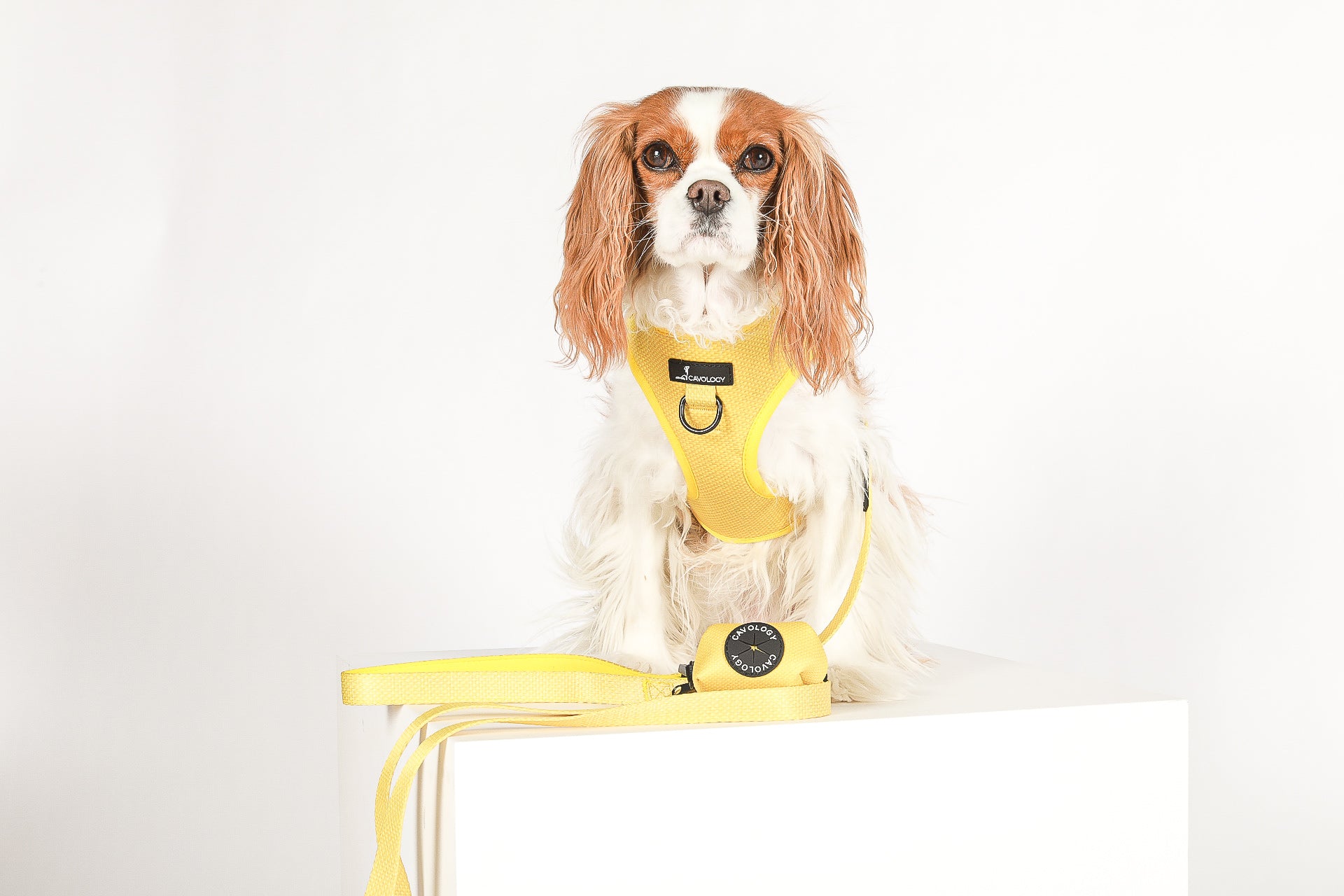 ADJUSTABLE HARNESS - Hey Sunshine