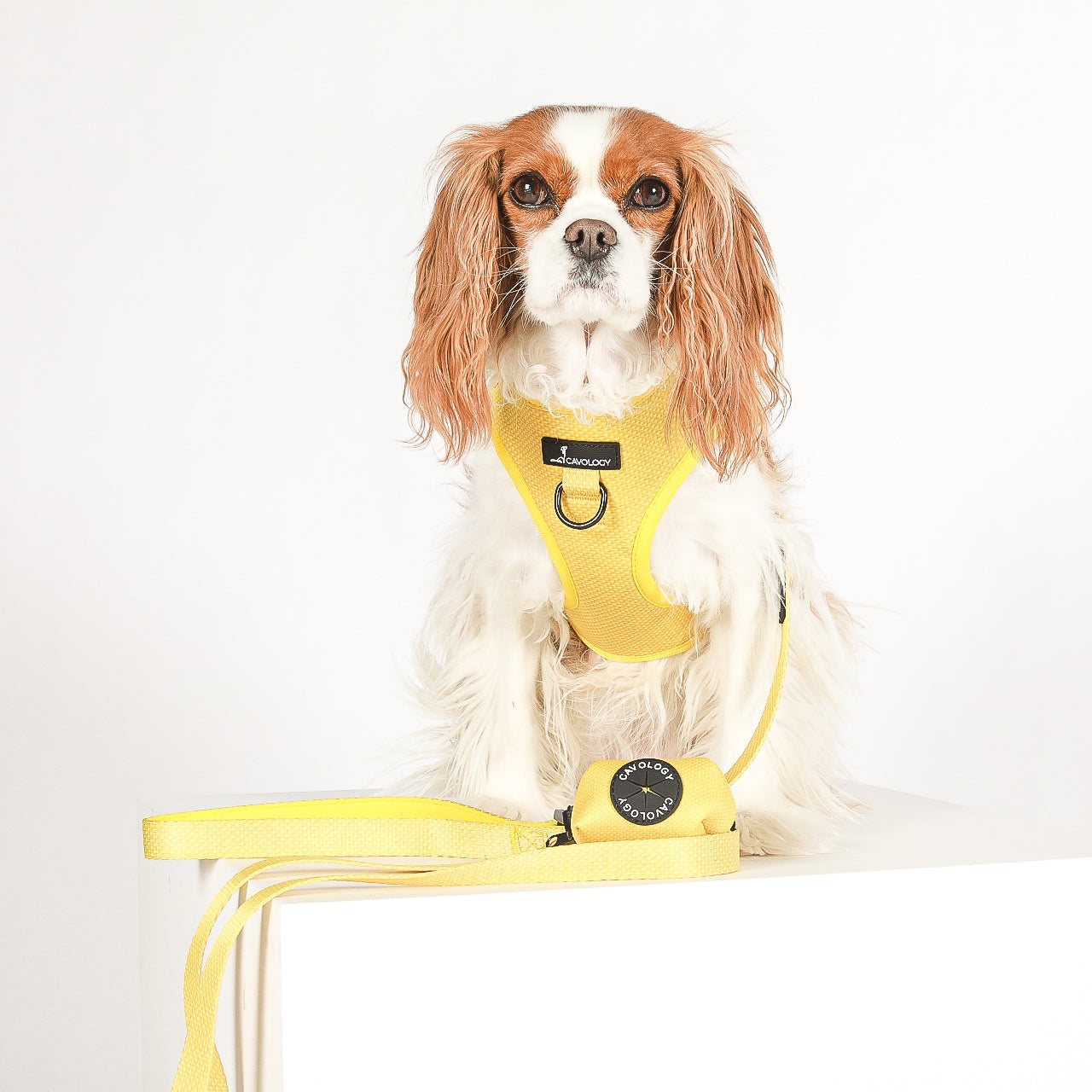 ADJUSTABLE HARNESS - Hey Sunshine