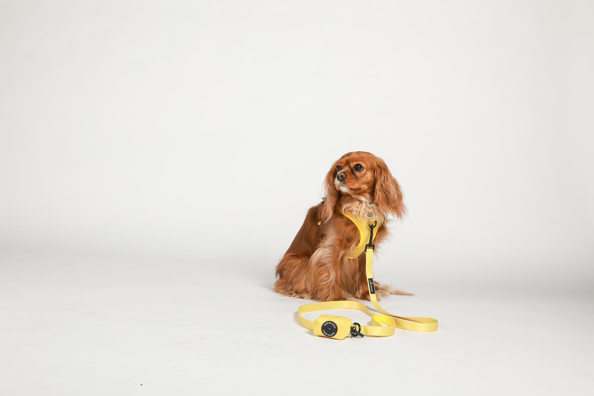 ADJUSTABLE HARNESS - Hey Sunshine
