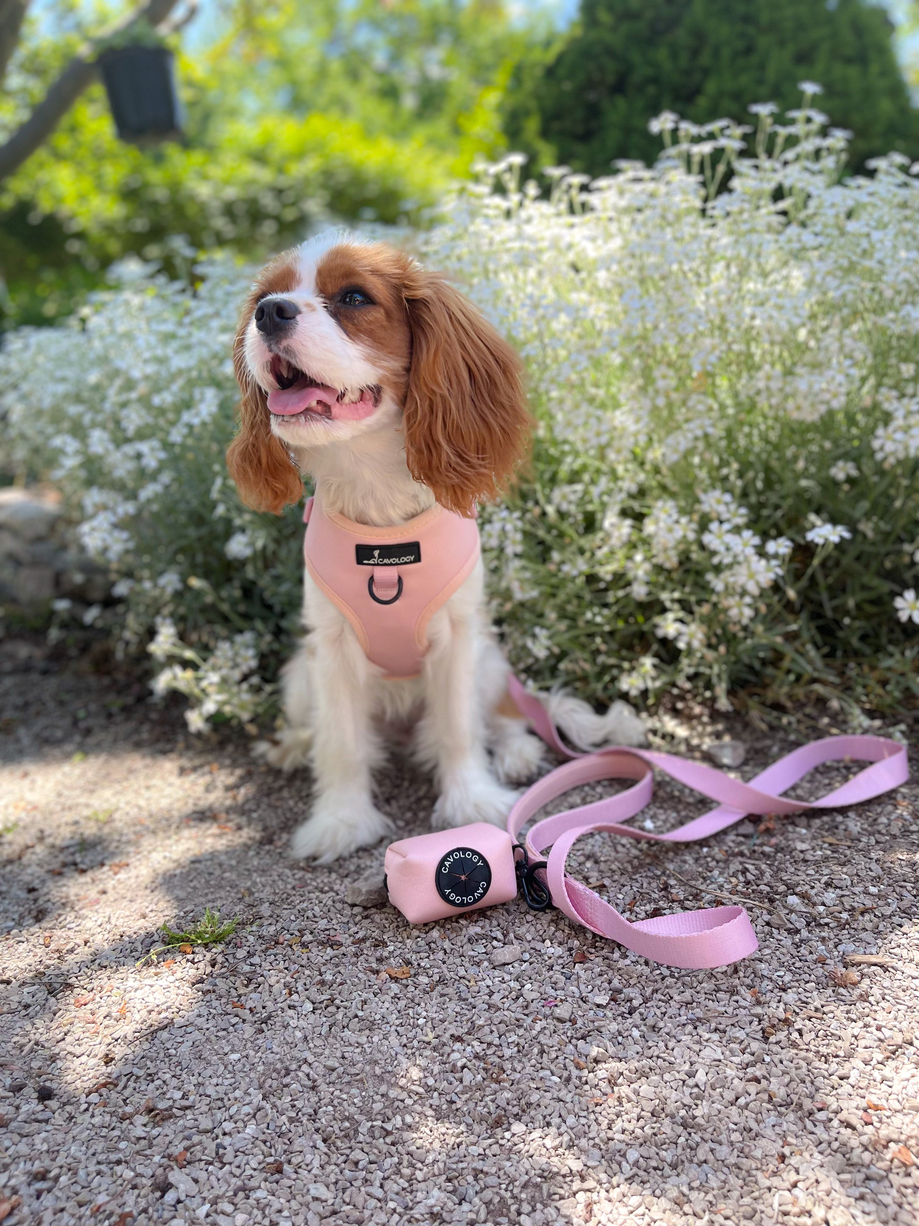ADJUSTABLE HARNESS - Blush