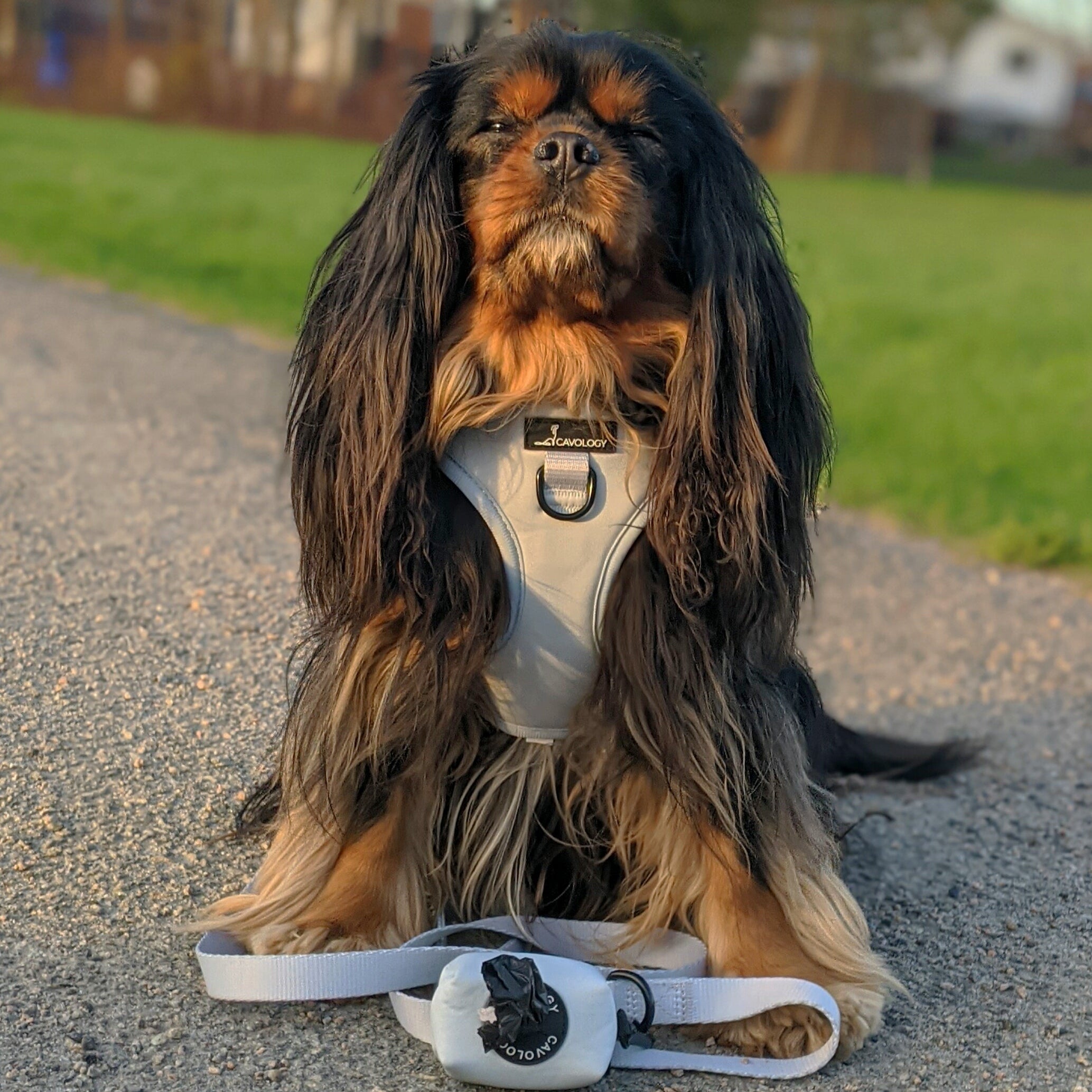 ADJUSTABLE HARNESS - Sage