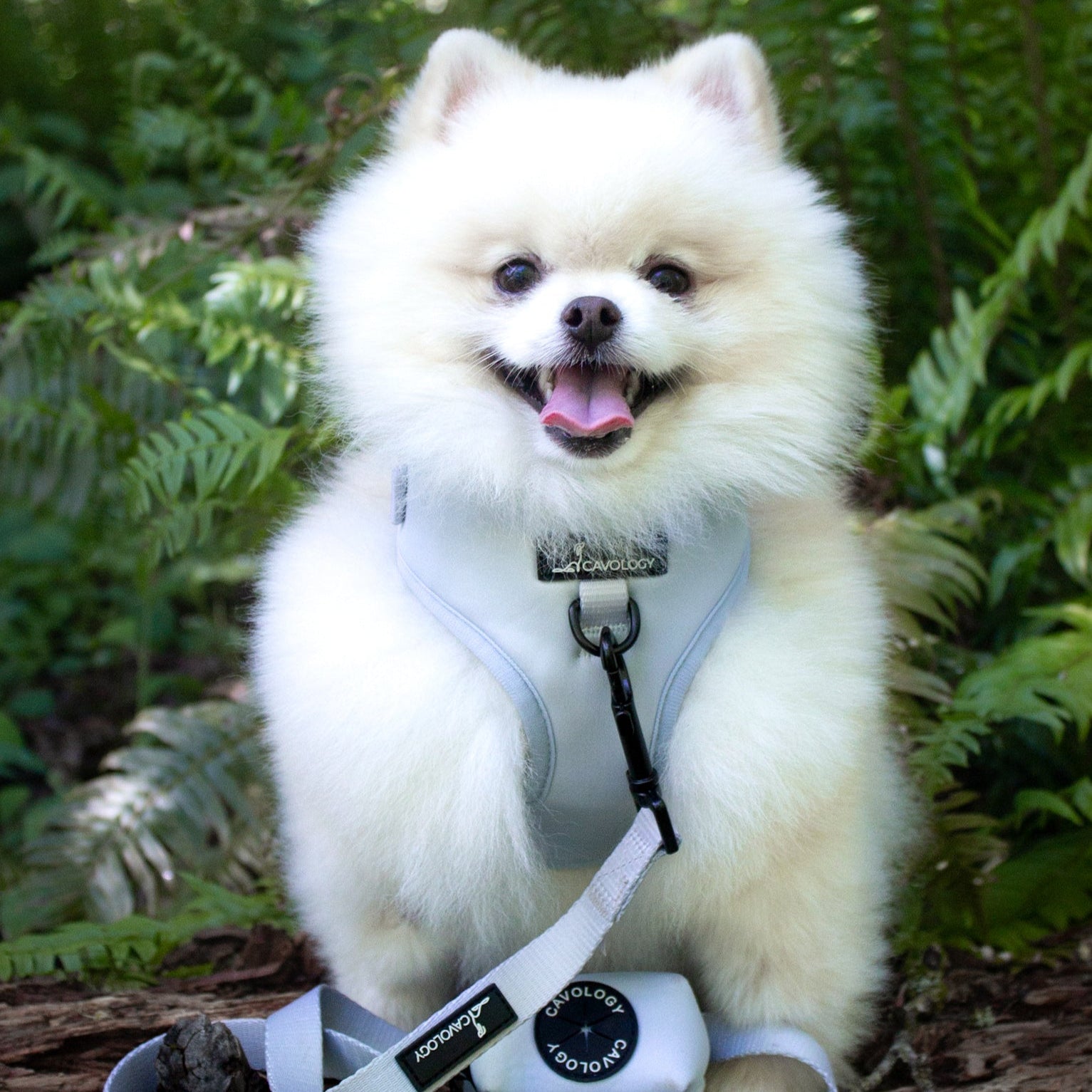 ADJUSTABLE HARNESS - Sage