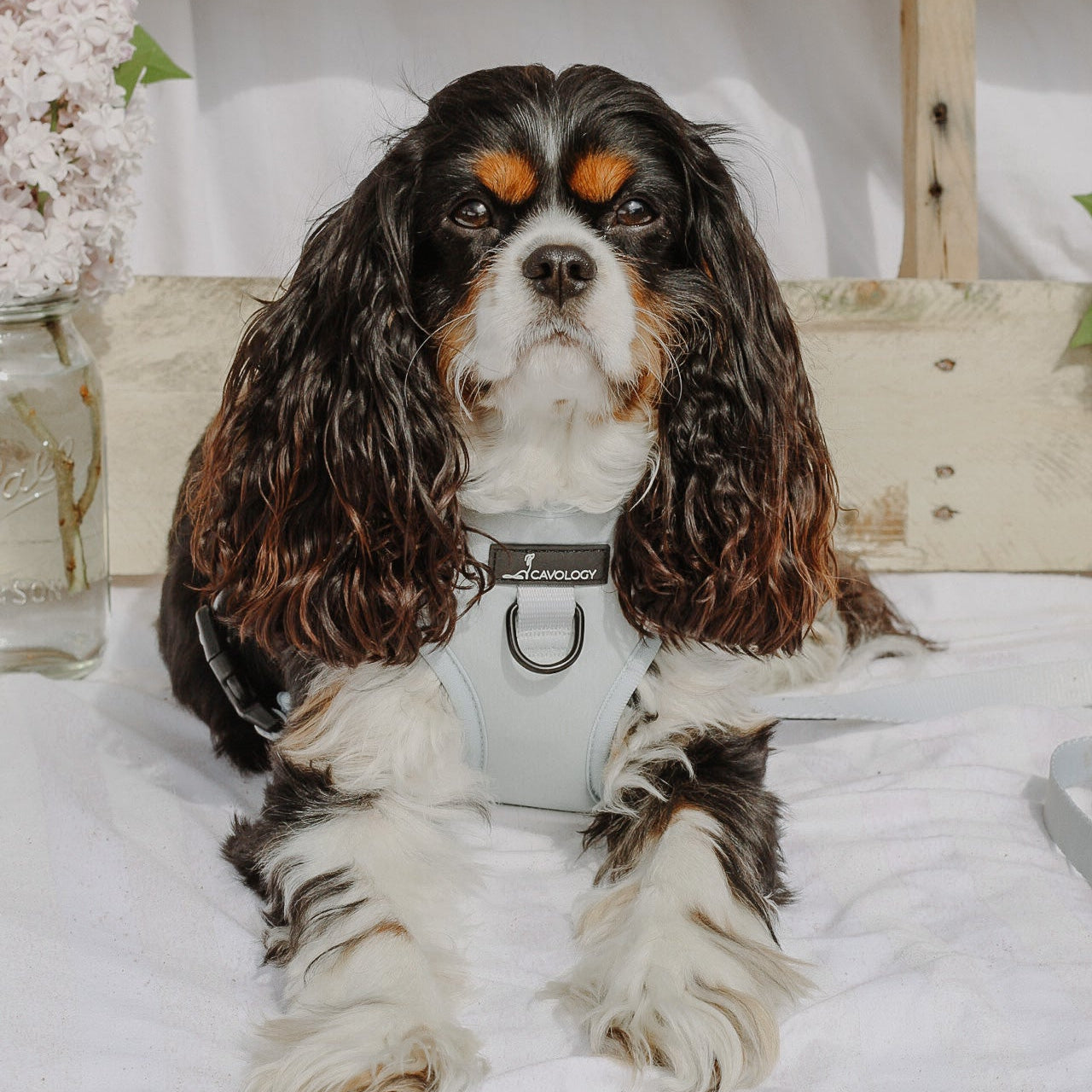 ADJUSTABLE HARNESS - Sage