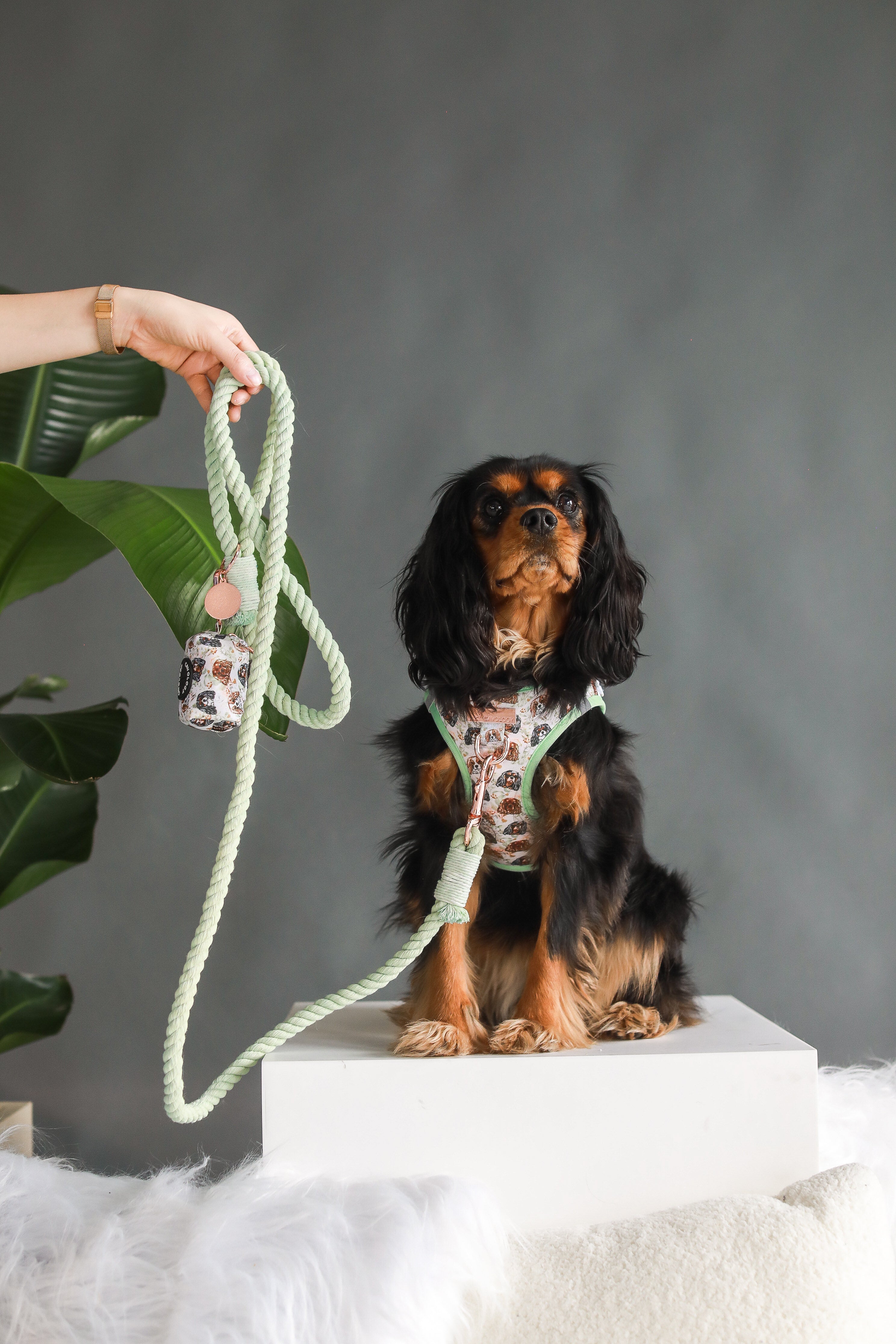 DOG ROPE LEASH - Seafoam Rose Gold
