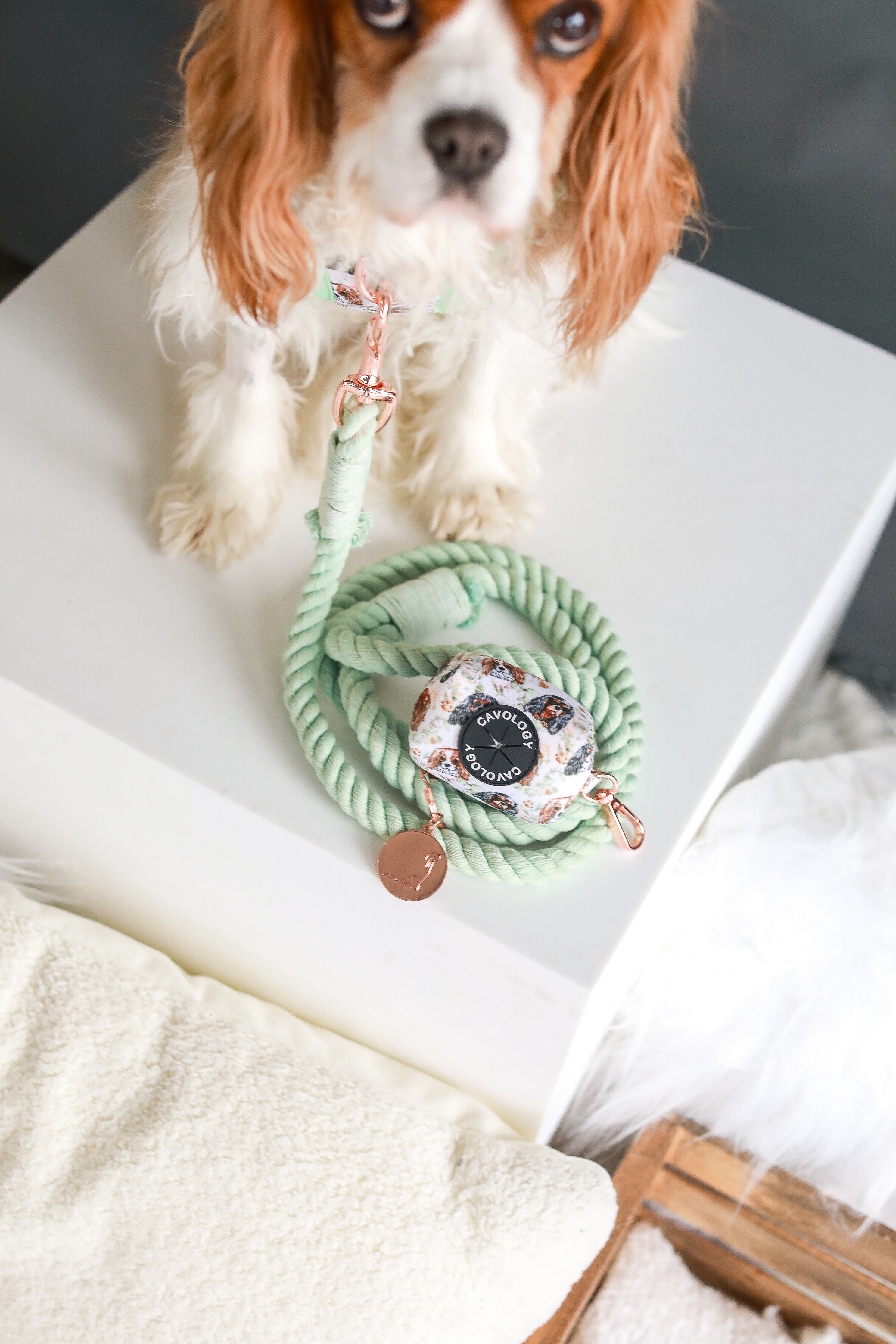 DOG ROPE LEASH - Seafoam Rose Gold