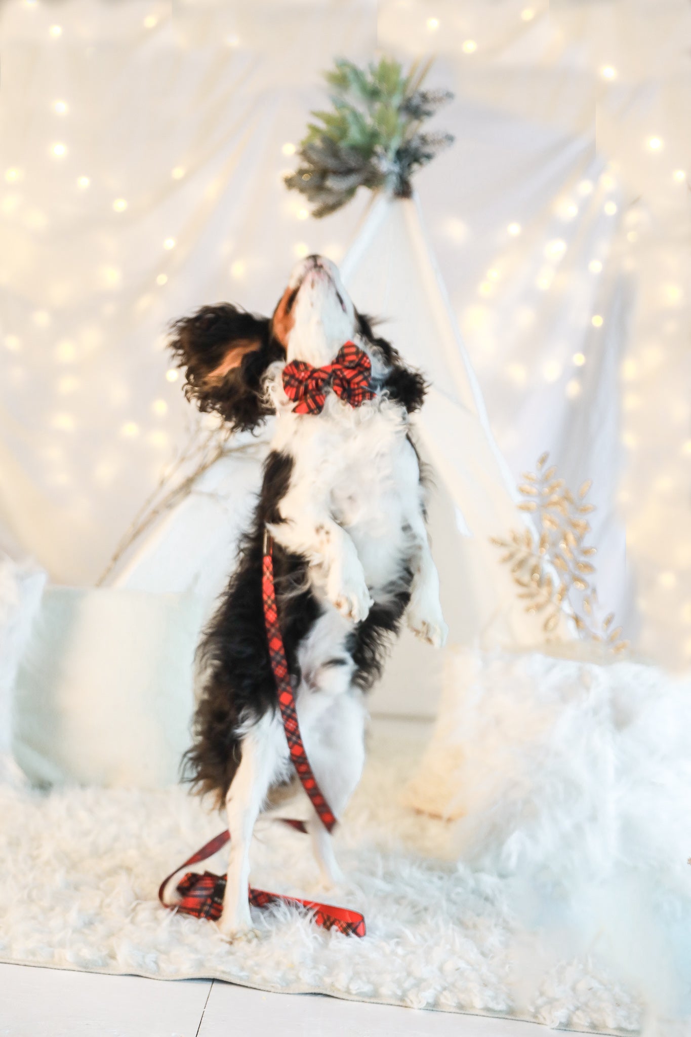 BOW - Red Plaid Tartan Winter Wonderland