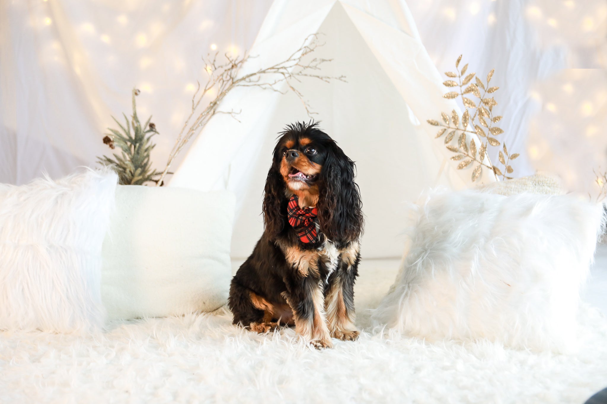 BOW - Red Plaid Tartan Winter Wonderland