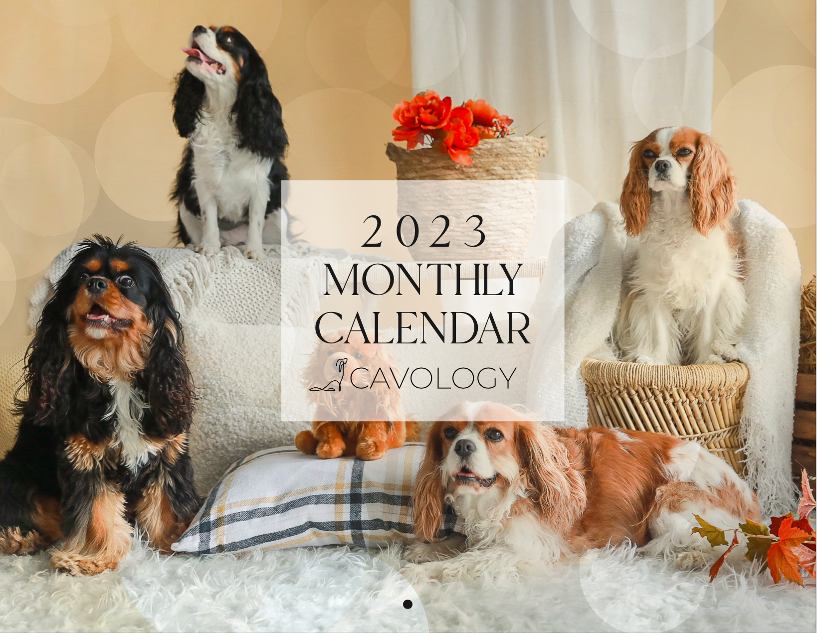 DOG CALENDAR 2023: Models of Cavology