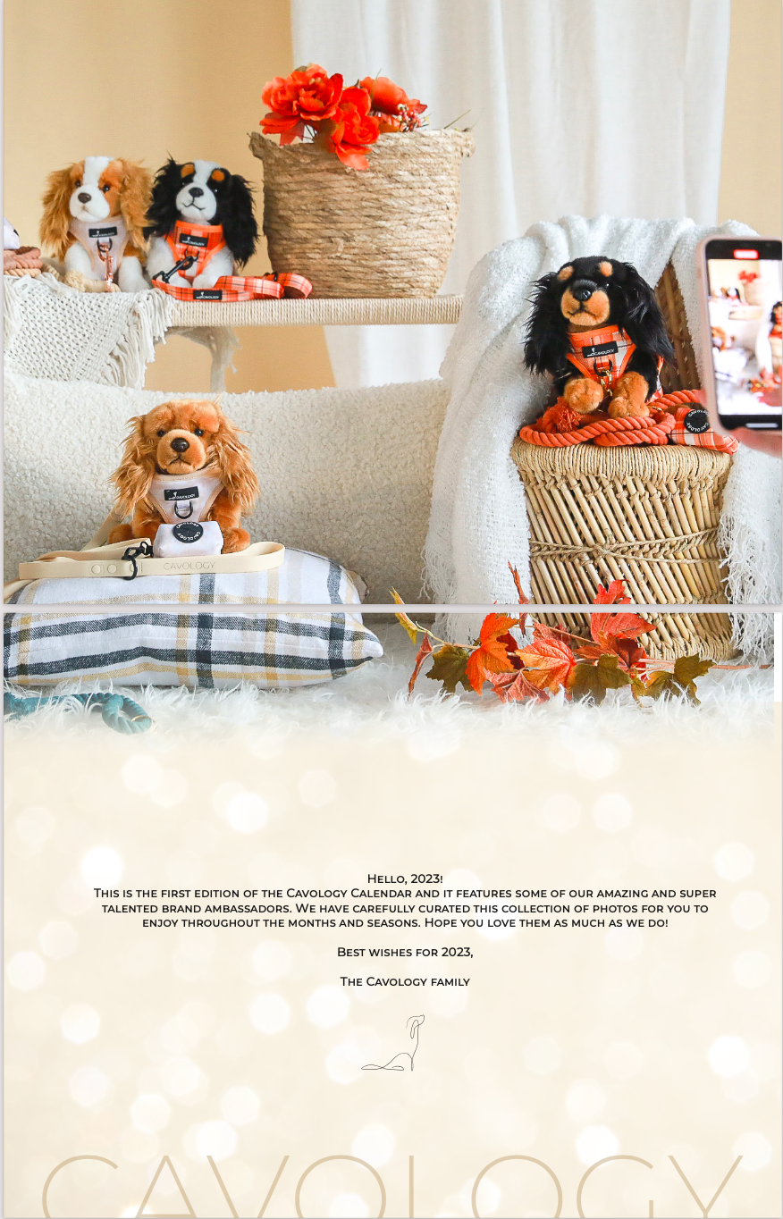 DOG CALENDAR 2023: Models of Cavology