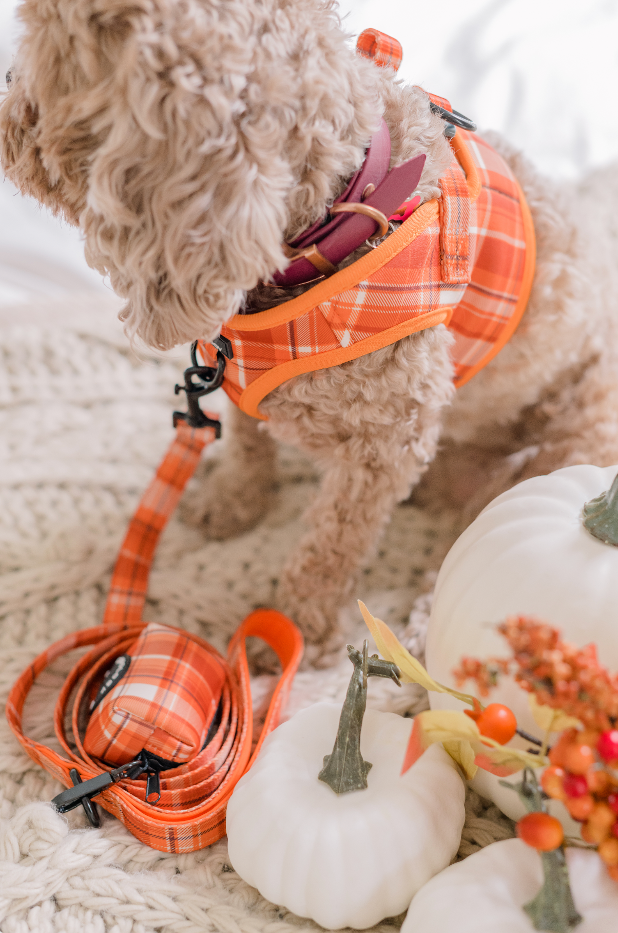 WASTE BAG DISPENSER - ORANGE PLAID Pumpkin Spice