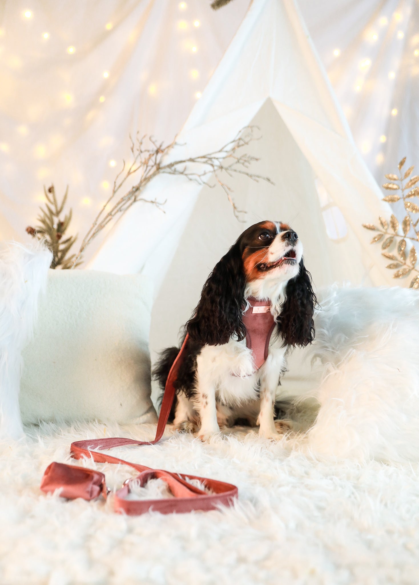 ADJUSTABLE HARNESS - Pink Velvet