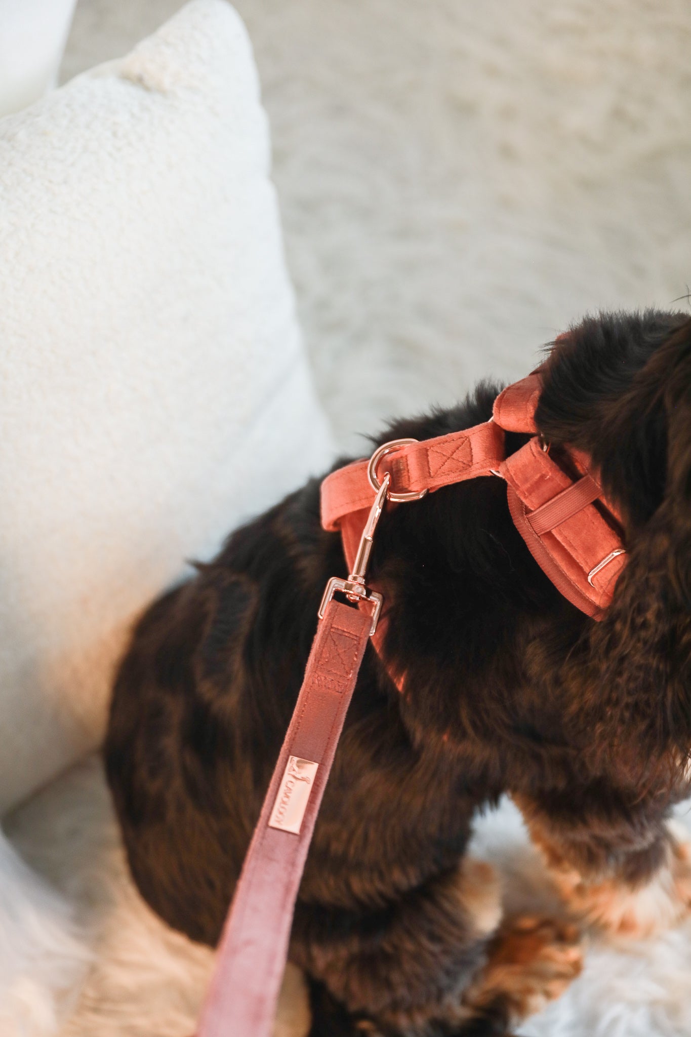 ADJUSTABLE HARNESS - Pink Velvet