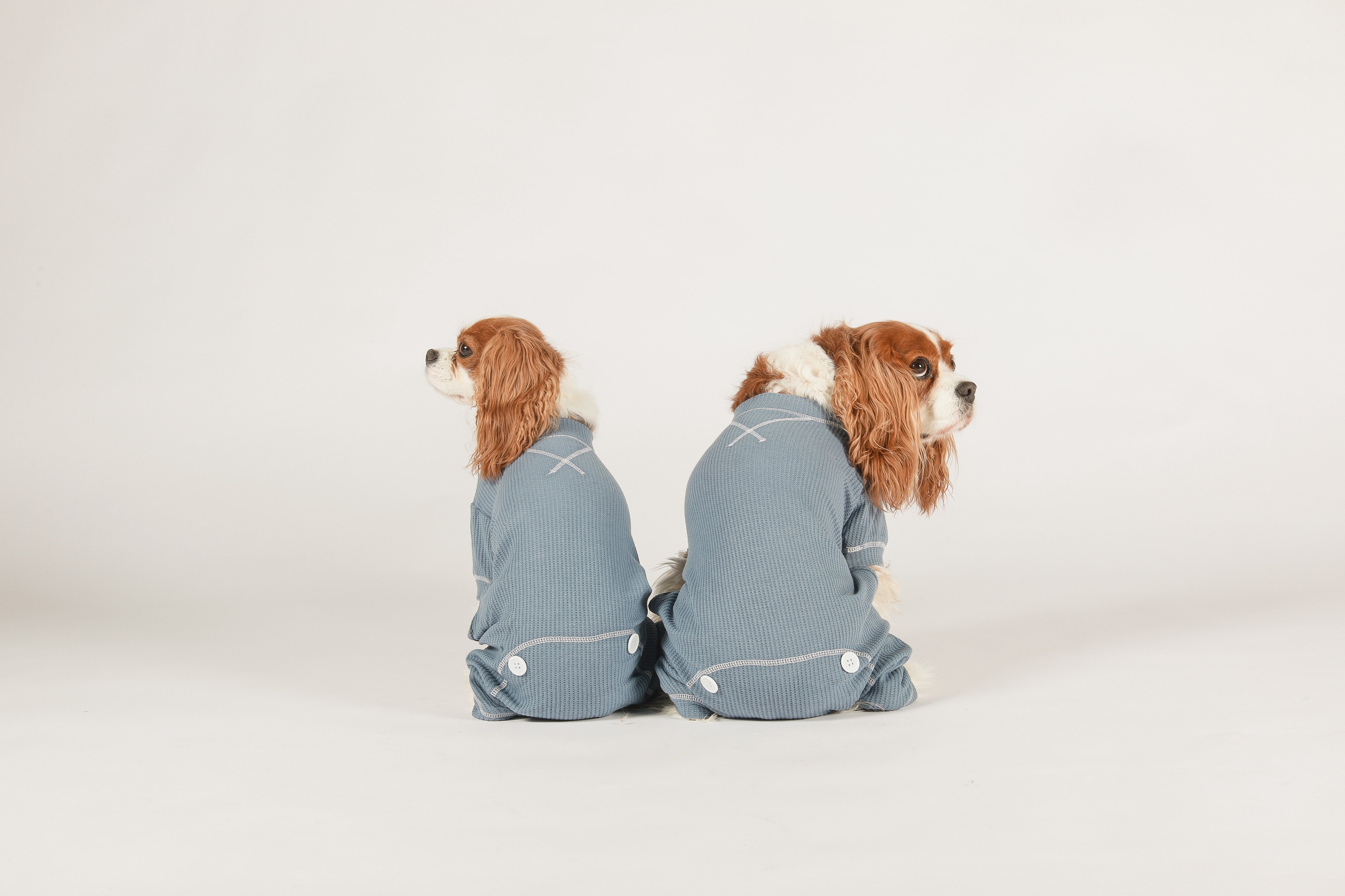 DOG PYJAMAS - Thermal Blue