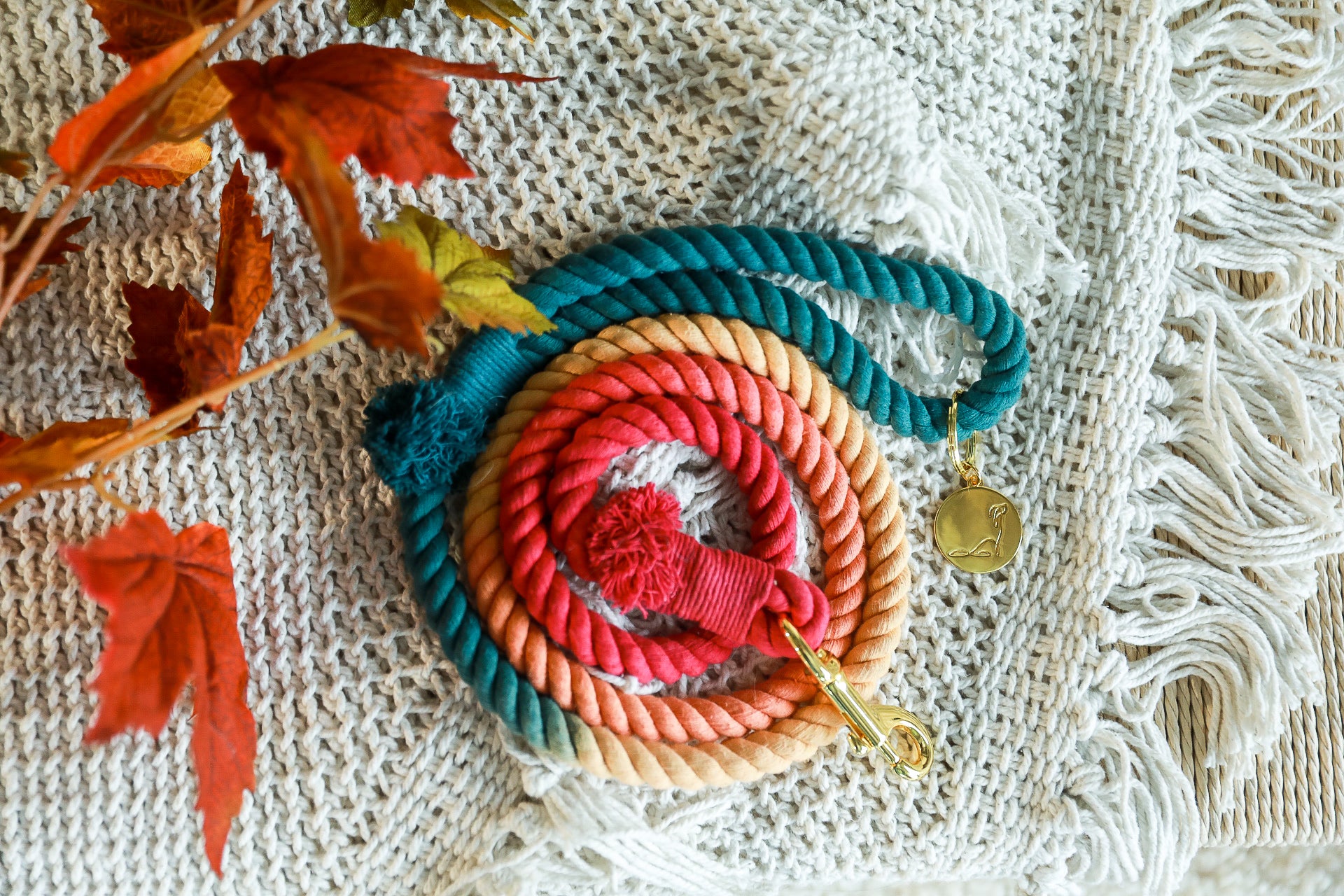 ROPE LEASH - OMBRE Autumn “Colors of the Wind”