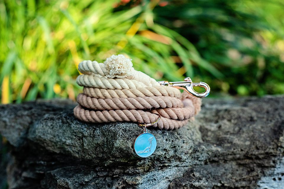 ROPE LEASH - OMBRE Chai Latte